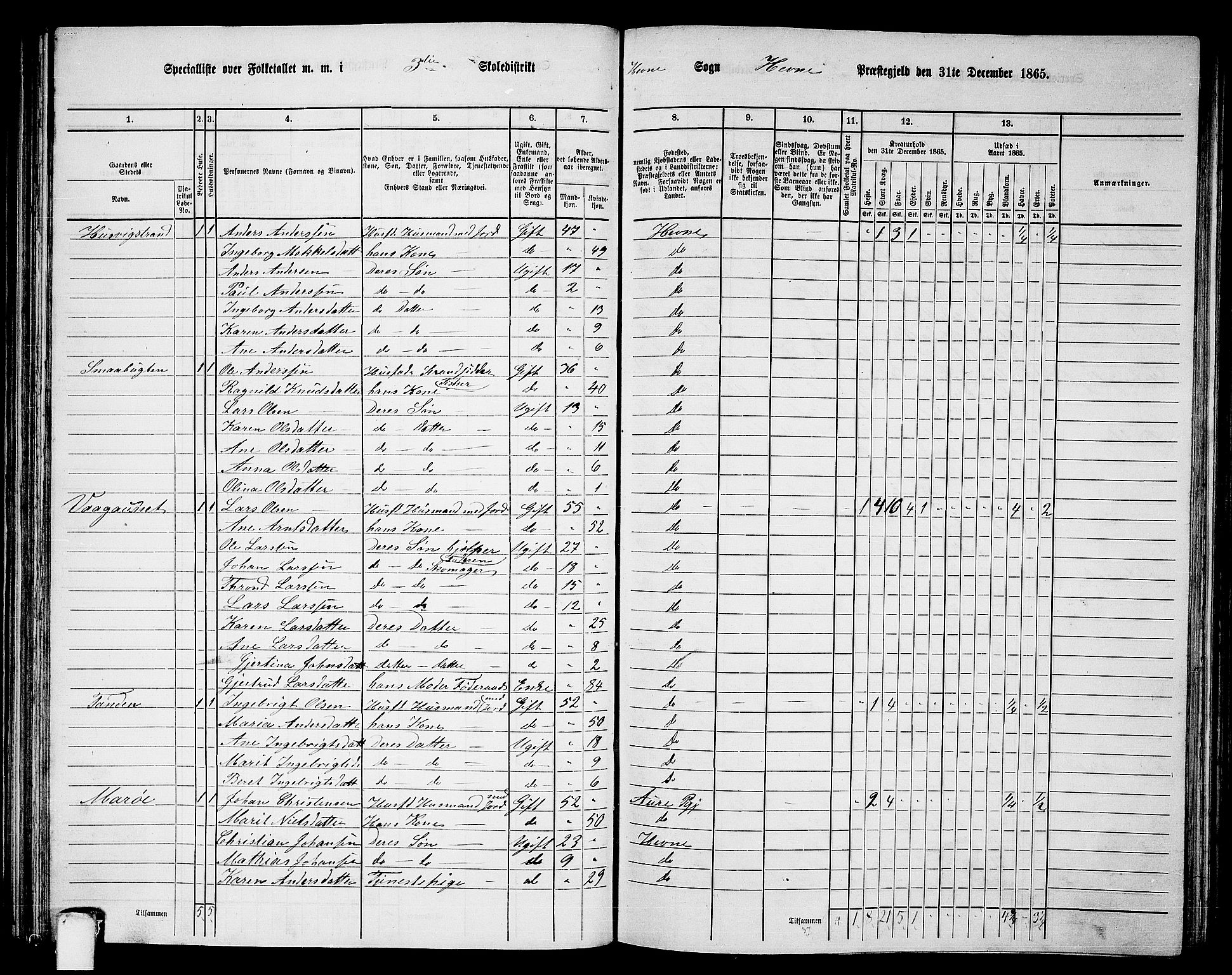 RA, 1865 census for Hemne, 1865, p. 66