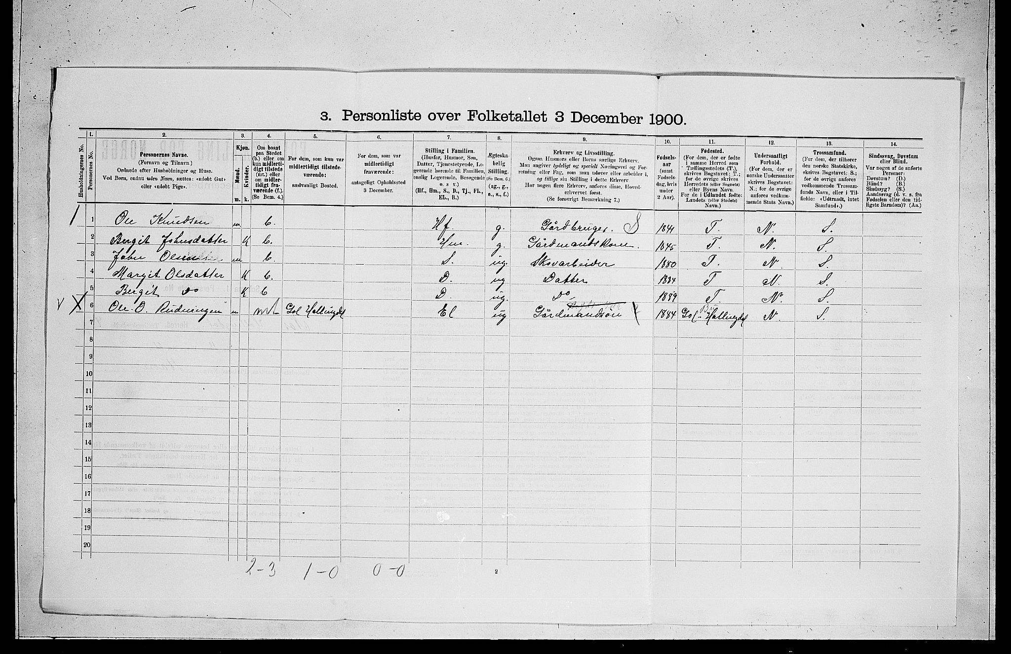 RA, 1900 census for Nes, 1900, p. 938