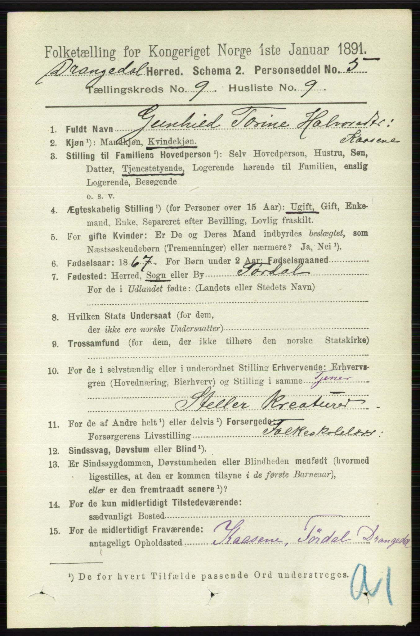 RA, 1891 census for 0817 Drangedal, 1891, p. 3177
