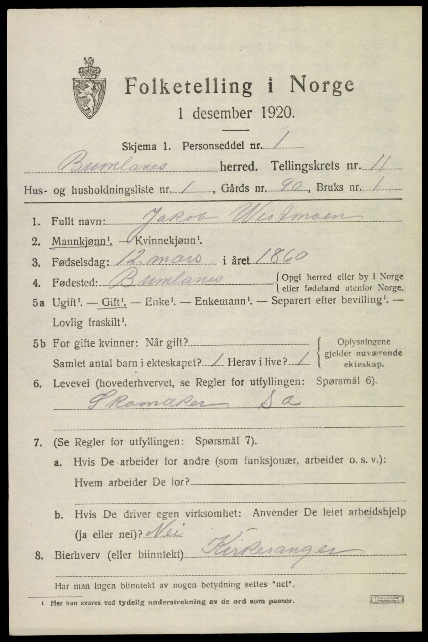 SAKO, 1920 census for Brunlanes, 1920, p. 9581