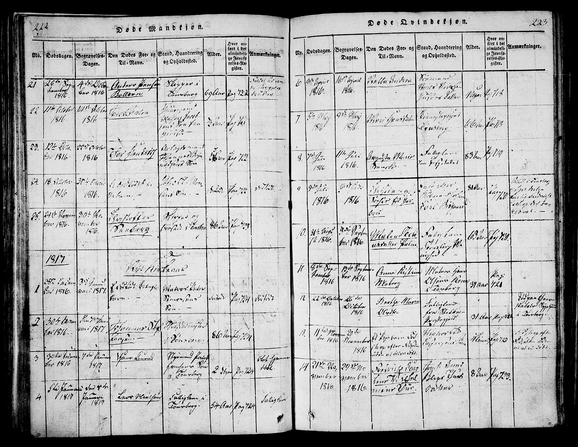Tønsberg kirkebøker, SAKO/A-330/F/Fa/L0004: Parish register (official) no. I 4, 1813-1826, p. 222-223