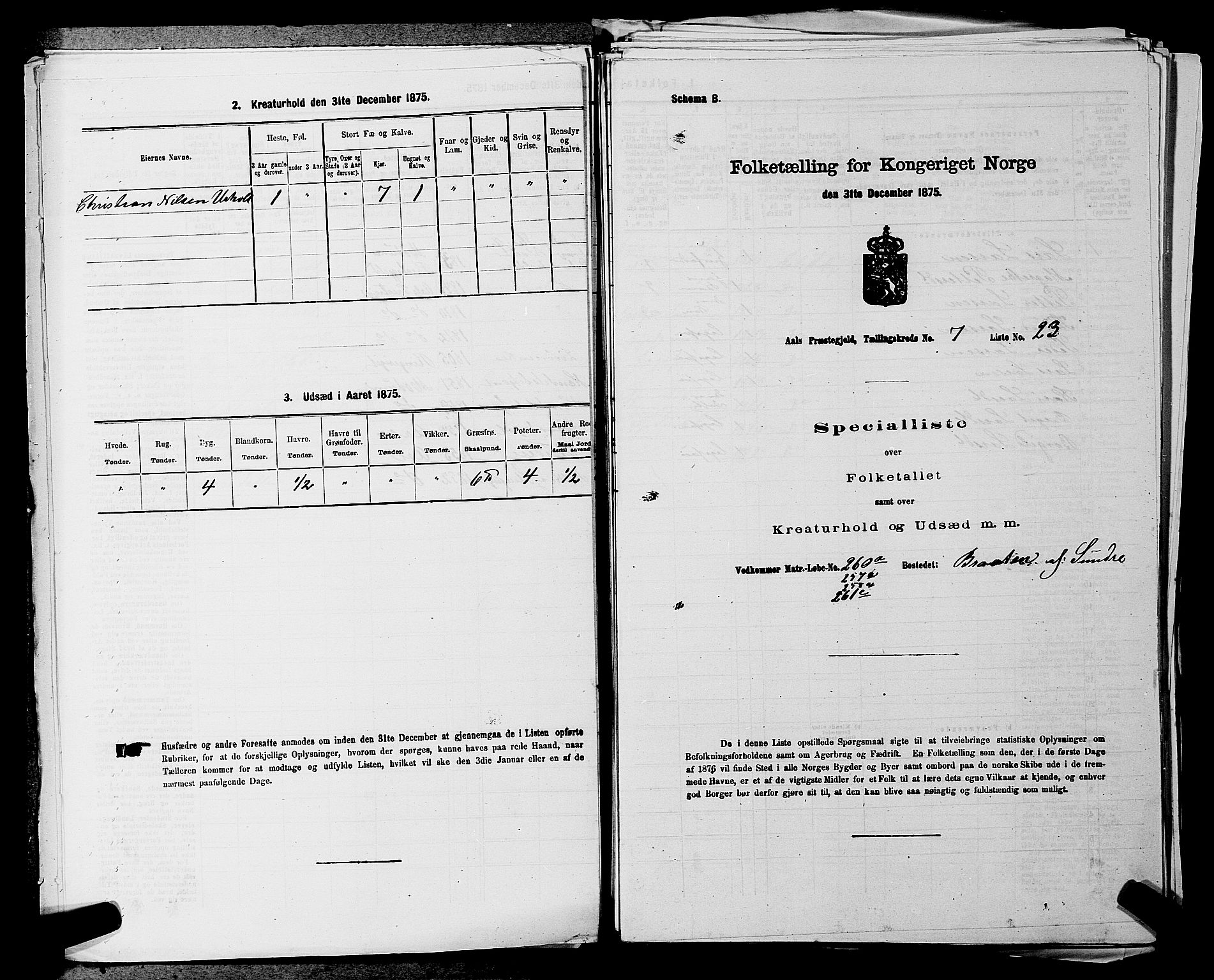 SAKO, 1875 census for 0619P Ål, 1875, p. 881