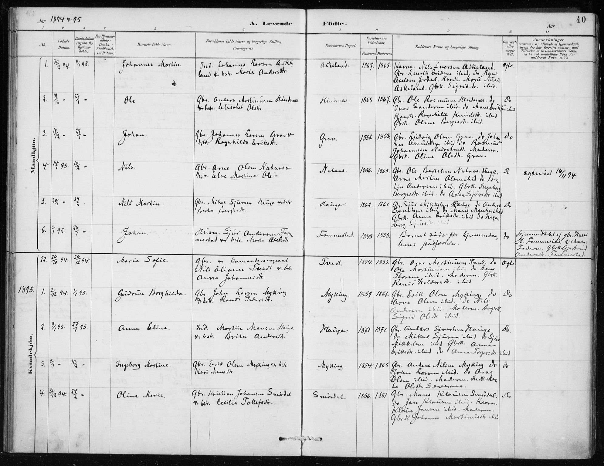 Lindås Sokneprestembete, SAB/A-76701/H/Haa: Parish register (official) no. F  1, 1886-1897, p. 40