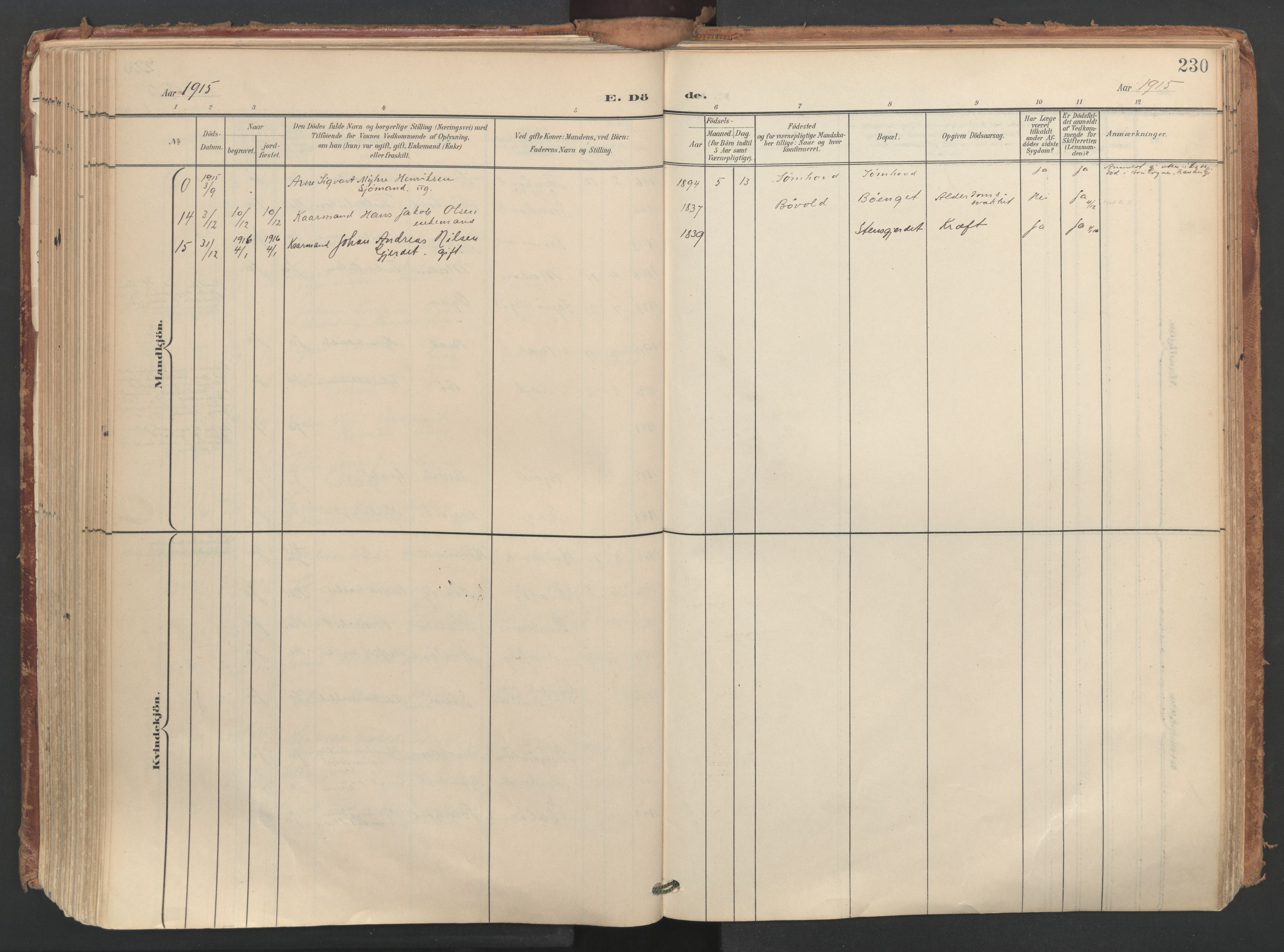 Ministerialprotokoller, klokkerbøker og fødselsregistre - Nordland, AV/SAT-A-1459/812/L0180: Parish register (official) no. 812A09, 1901-1915, p. 230