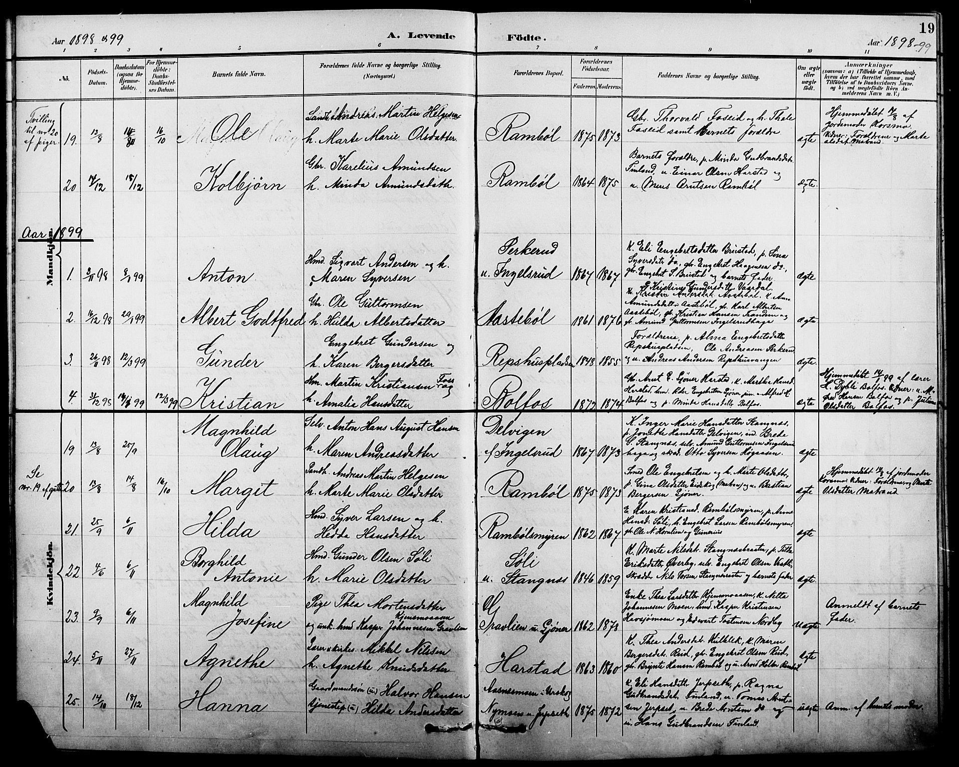 Eidskog prestekontor, SAH/PREST-026/H/Ha/Hab/L0002: Parish register (copy) no. 2, 1895-1923, p. 19