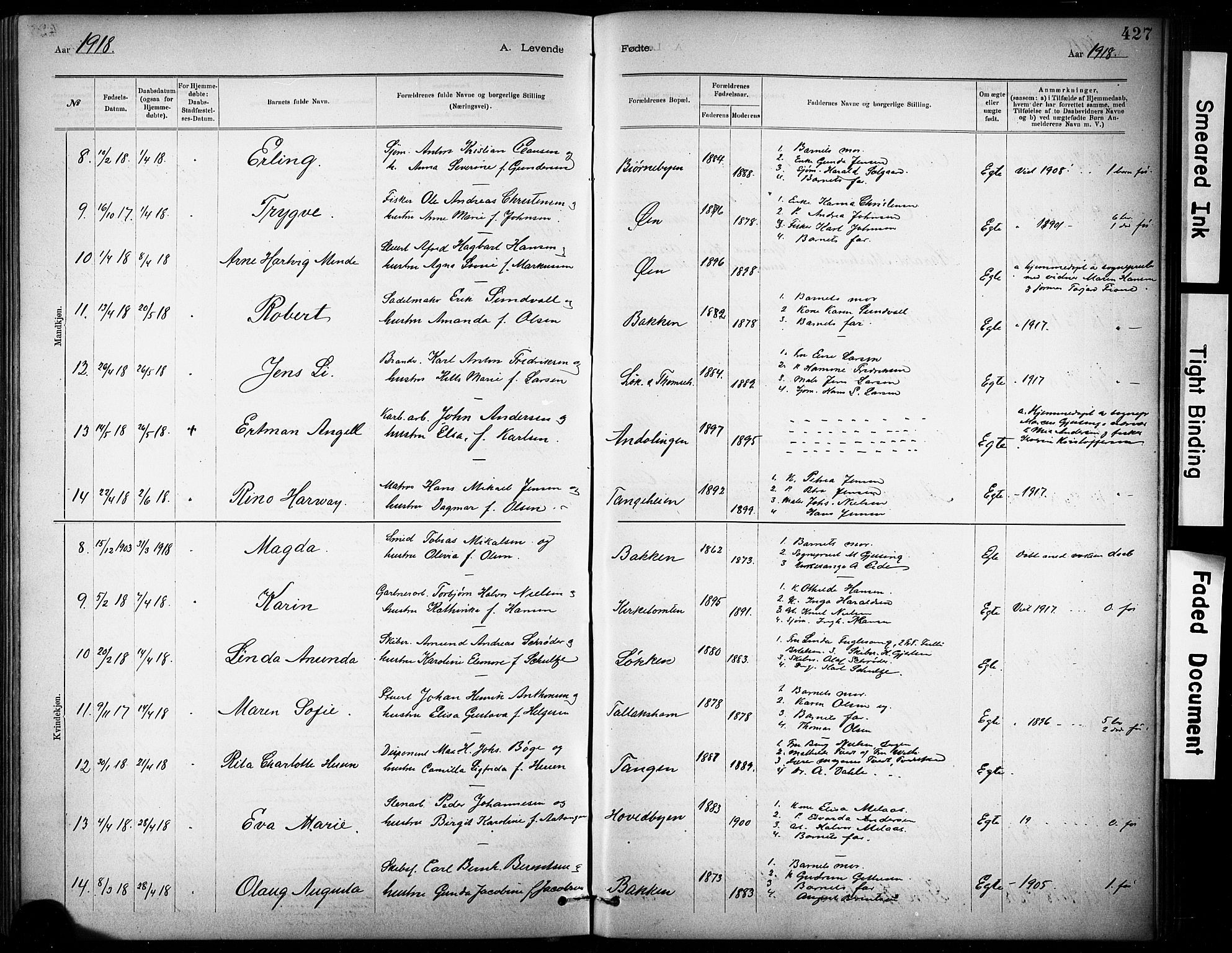 Kragerø kirkebøker, AV/SAKO-A-278/G/Ga/L0007: Parish register (copy) no. 7, 1881-1927, p. 427
