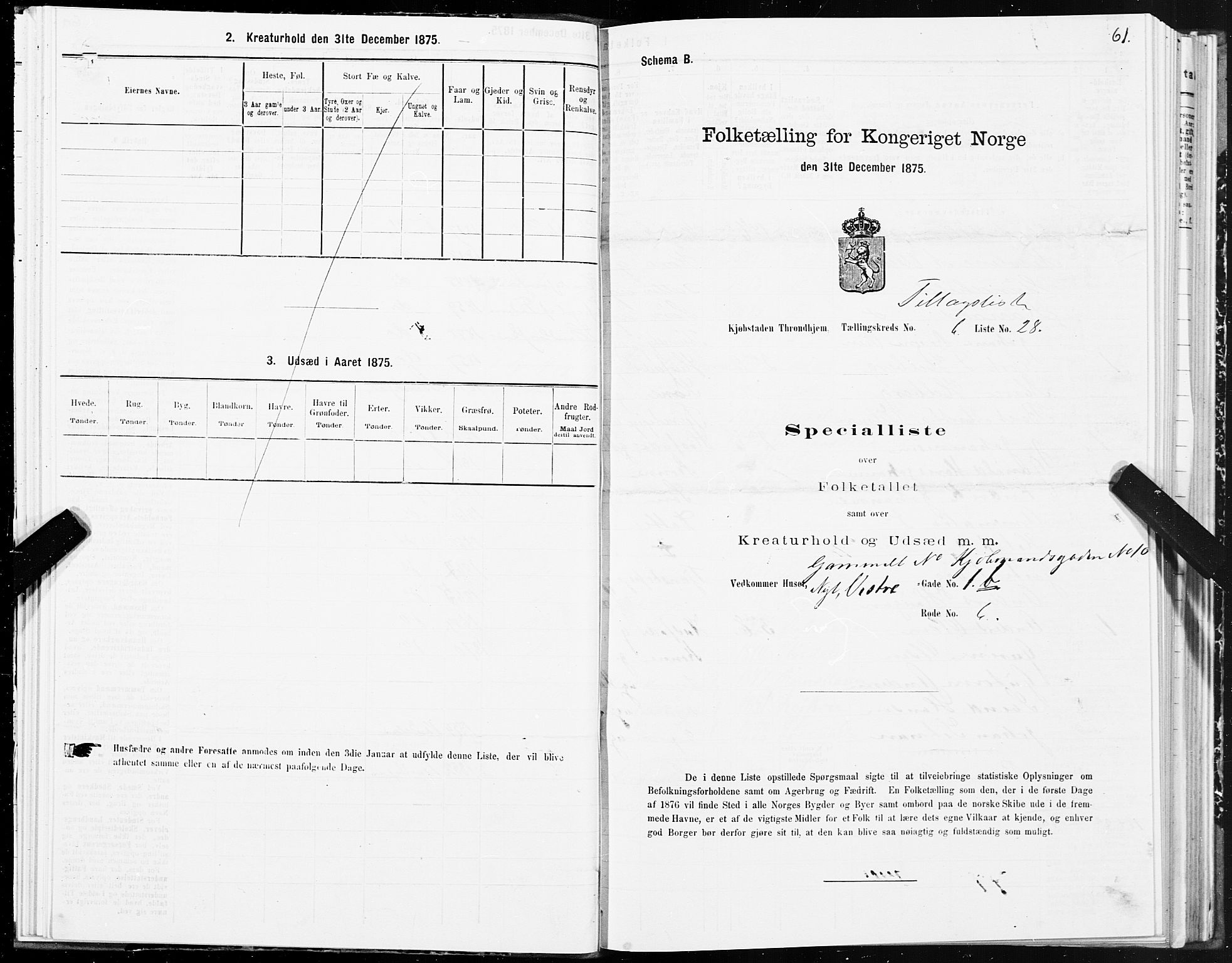 SAT, 1875 census for 1601 Trondheim, 1875, p. 4061