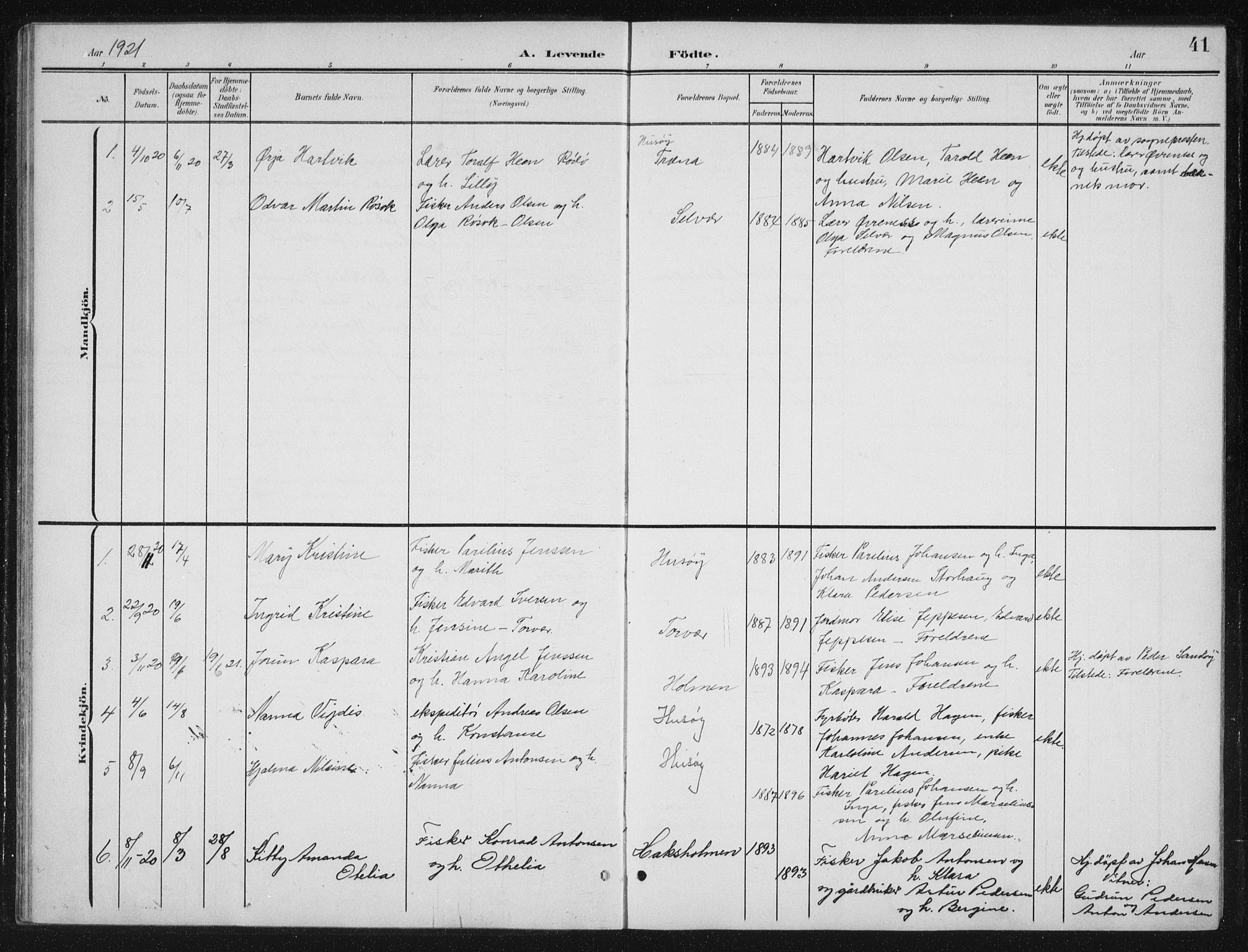 Ministerialprotokoller, klokkerbøker og fødselsregistre - Nordland, SAT/A-1459/840/L0583: Parish register (copy) no. 840C03, 1901-1933, p. 41
