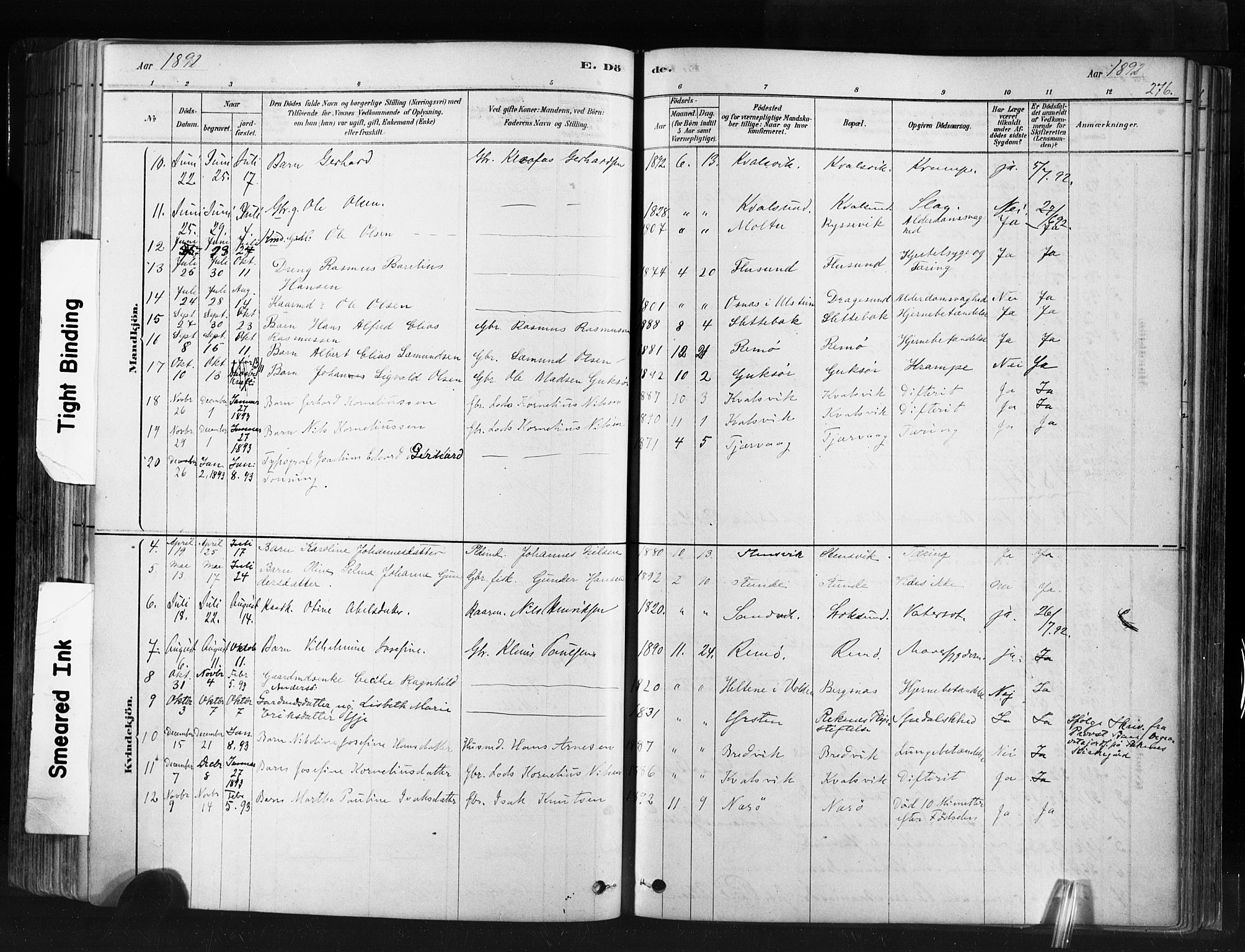 Ministerialprotokoller, klokkerbøker og fødselsregistre - Møre og Romsdal, SAT/A-1454/507/L0073: Parish register (official) no. 507A08, 1878-1904, p. 276
