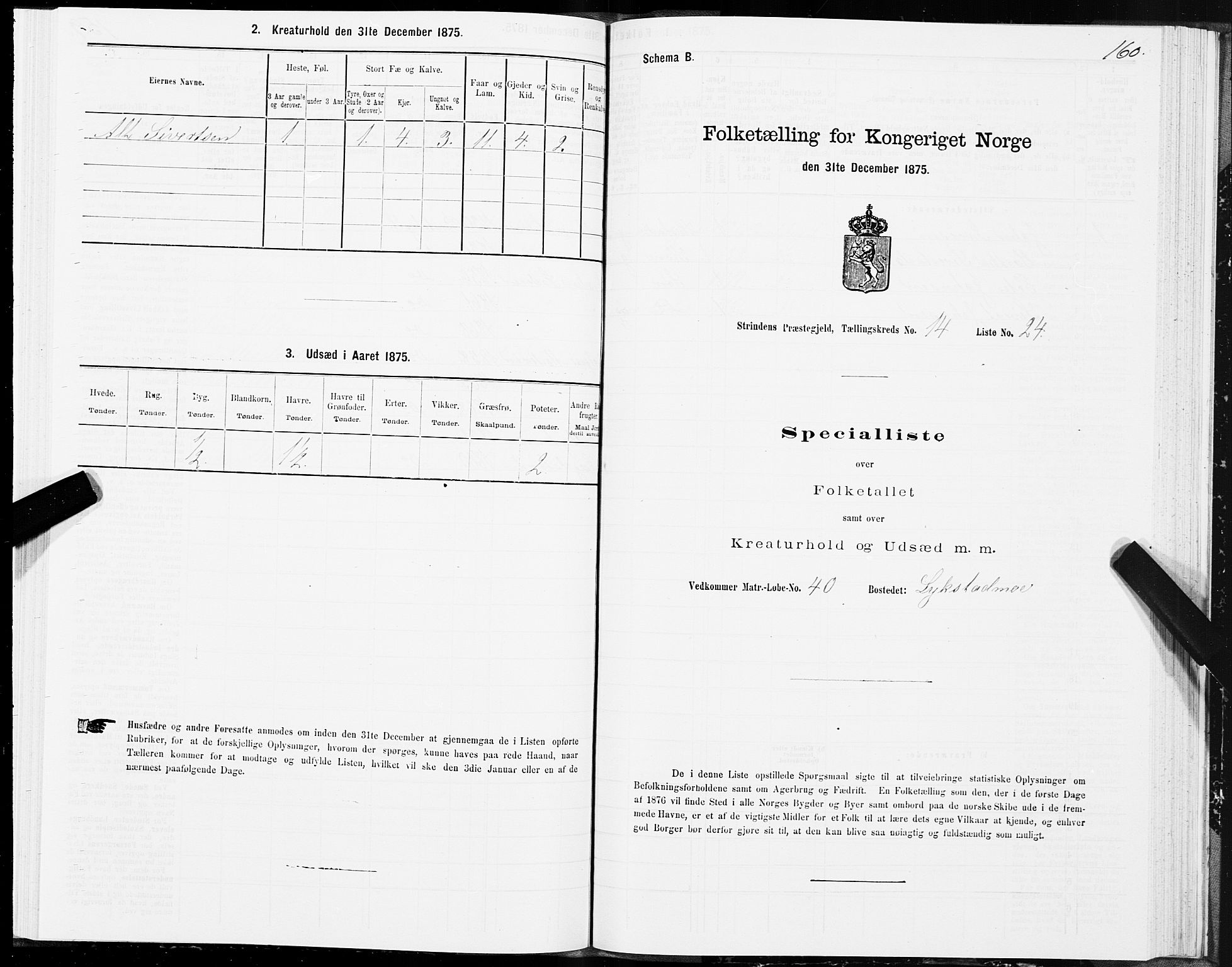 SAT, 1875 census for 1660P Strinda, 1875, p. 8160