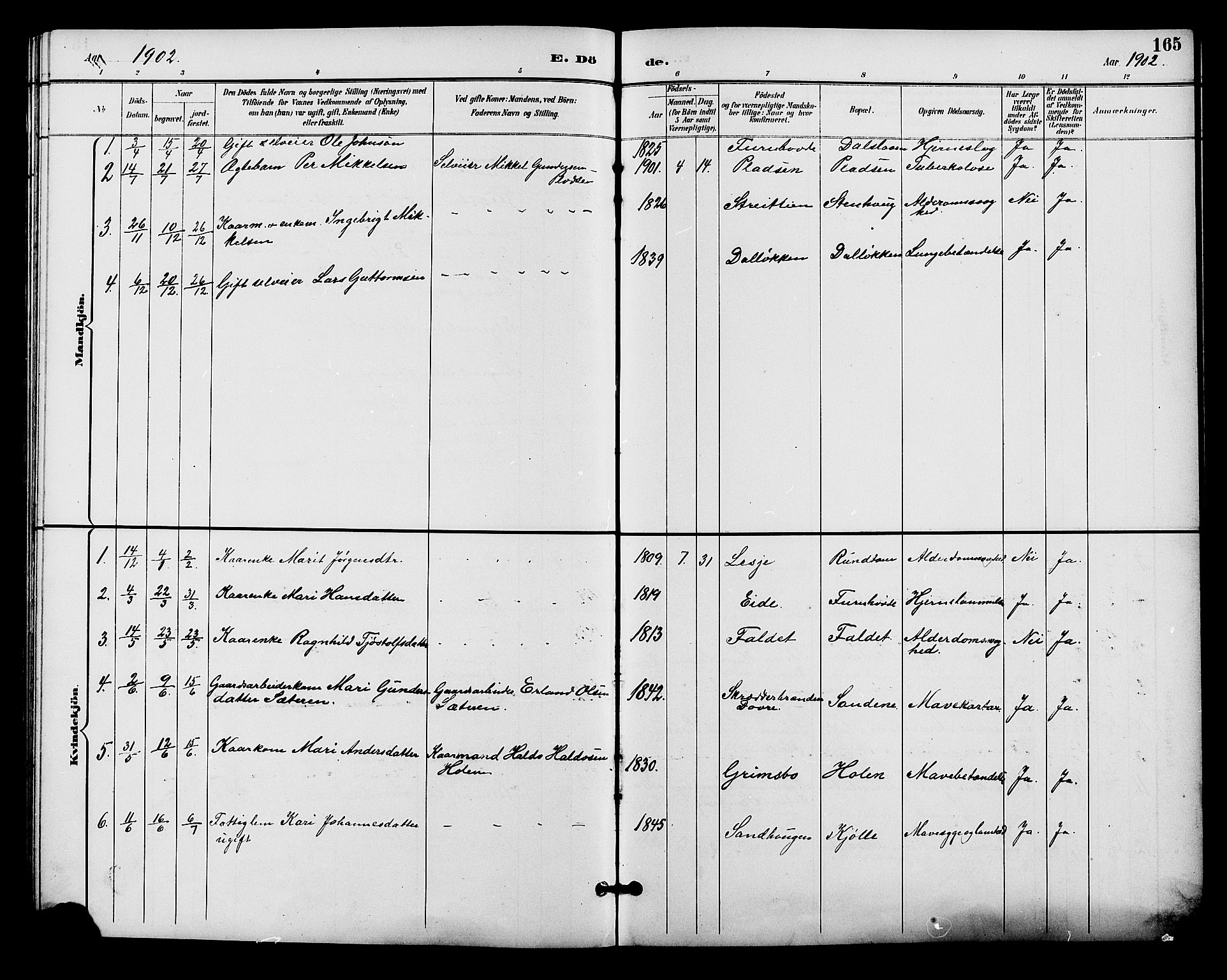 Alvdal prestekontor, AV/SAH-PREST-060/H/Ha/Hab/L0004: Parish register (copy) no. 4, 1894-1910, p. 165