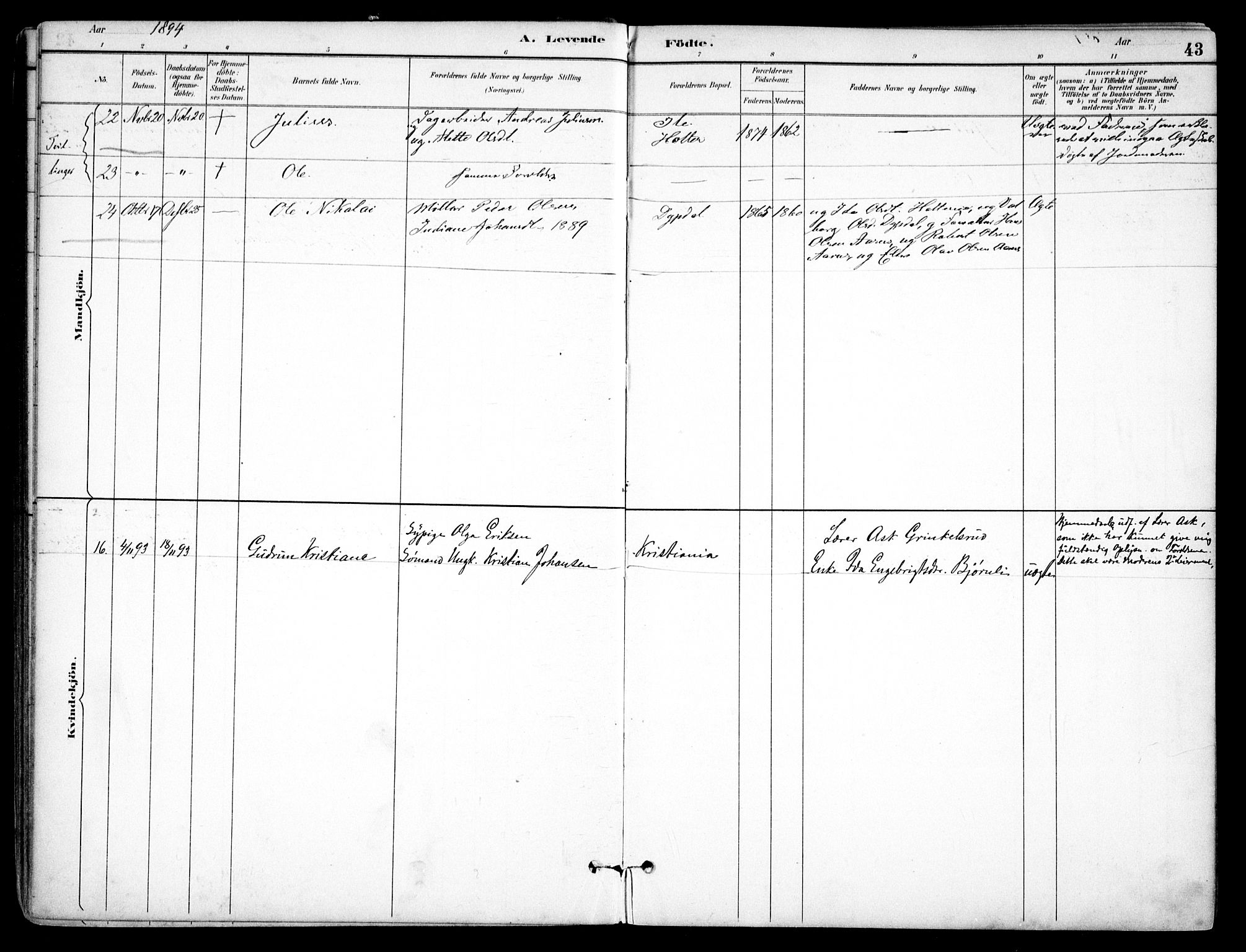 Nes prestekontor Kirkebøker, AV/SAO-A-10410/F/Fb/L0002: Parish register (official) no. II 2, 1883-1918, p. 43