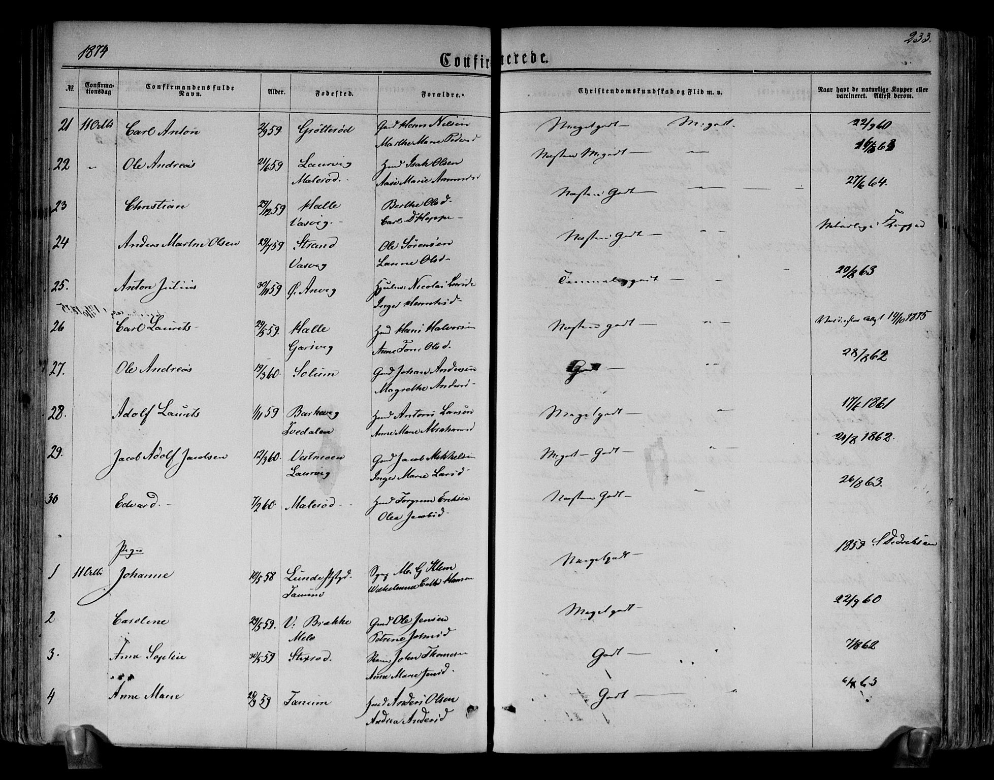 Brunlanes kirkebøker, AV/SAKO-A-342/F/Fa/L0005: Parish register (official) no. I 5, 1862-1877, p. 233