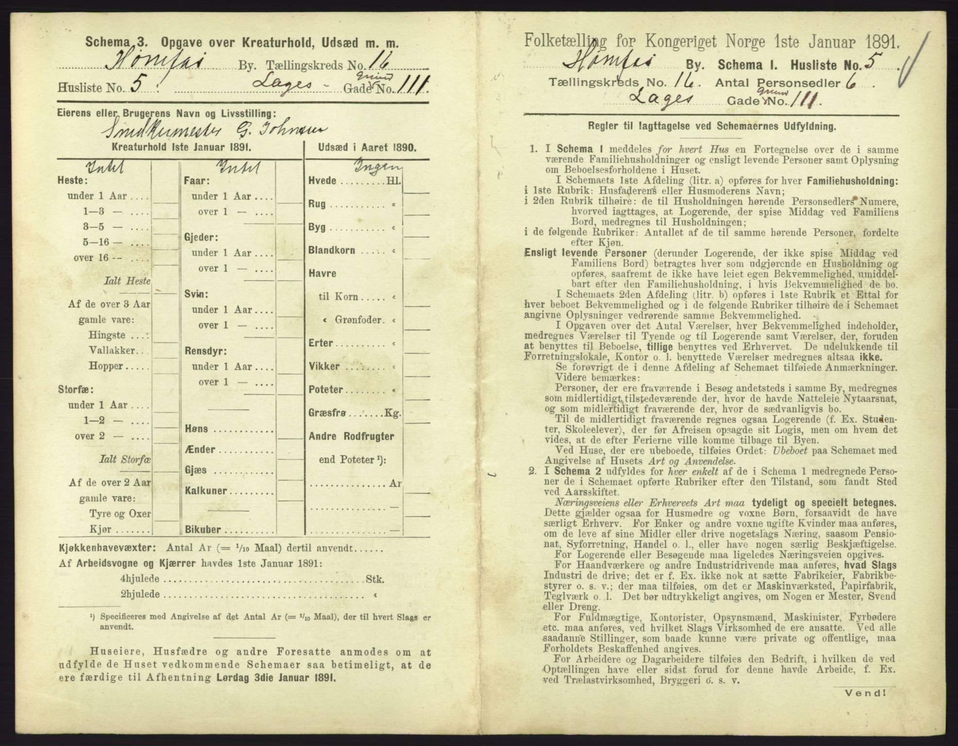 RA, 1891 census for 0601 Hønefoss, 1891, p. 347