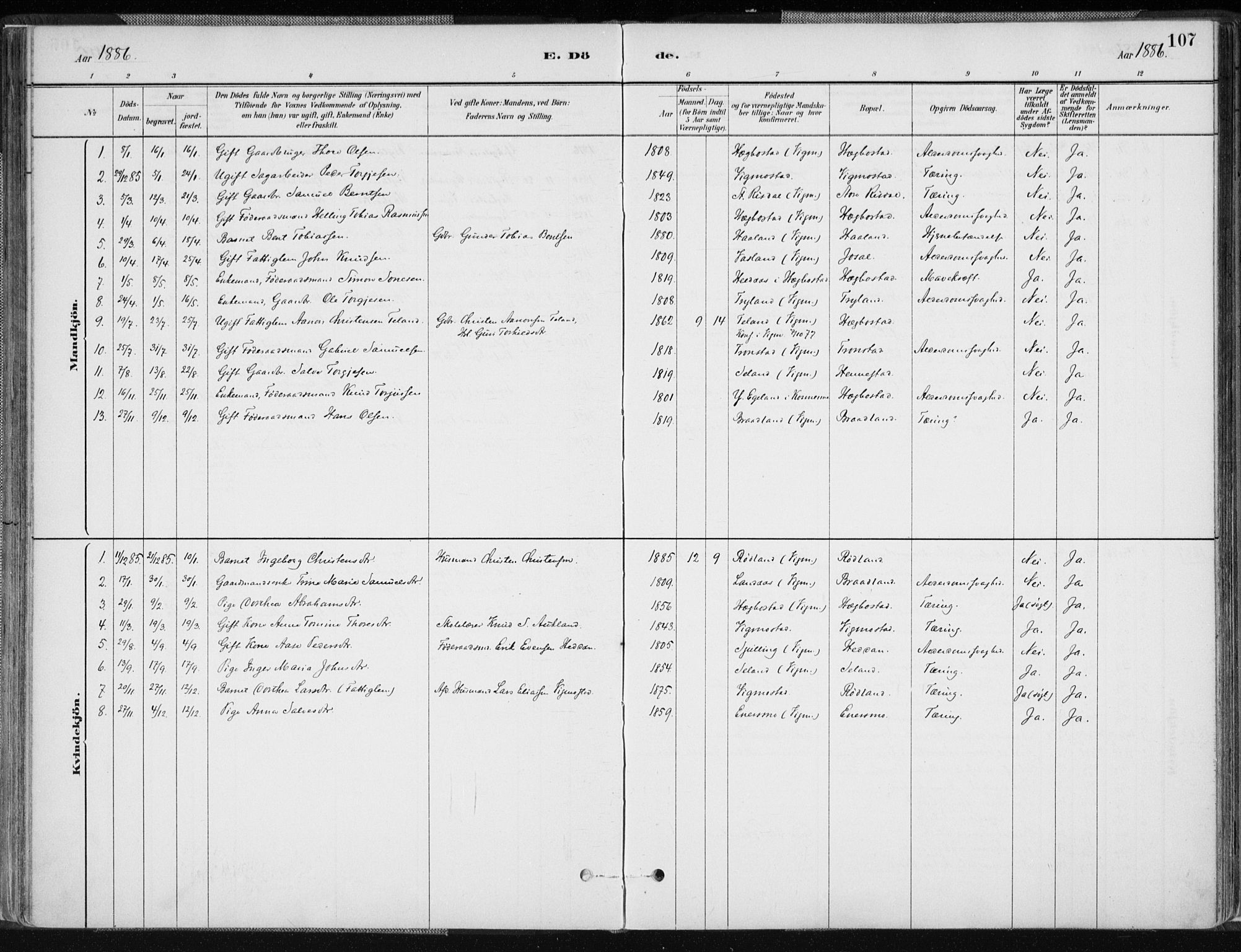 Nord-Audnedal sokneprestkontor, AV/SAK-1111-0032/F/Fa/Fab/L0003: Parish register (official) no. A 3, 1882-1900, p. 107