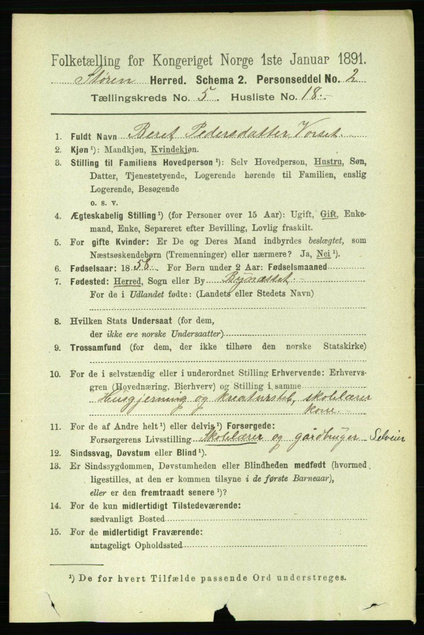 RA, 1891 census for 1648 Støren, 1891, p. 2039
