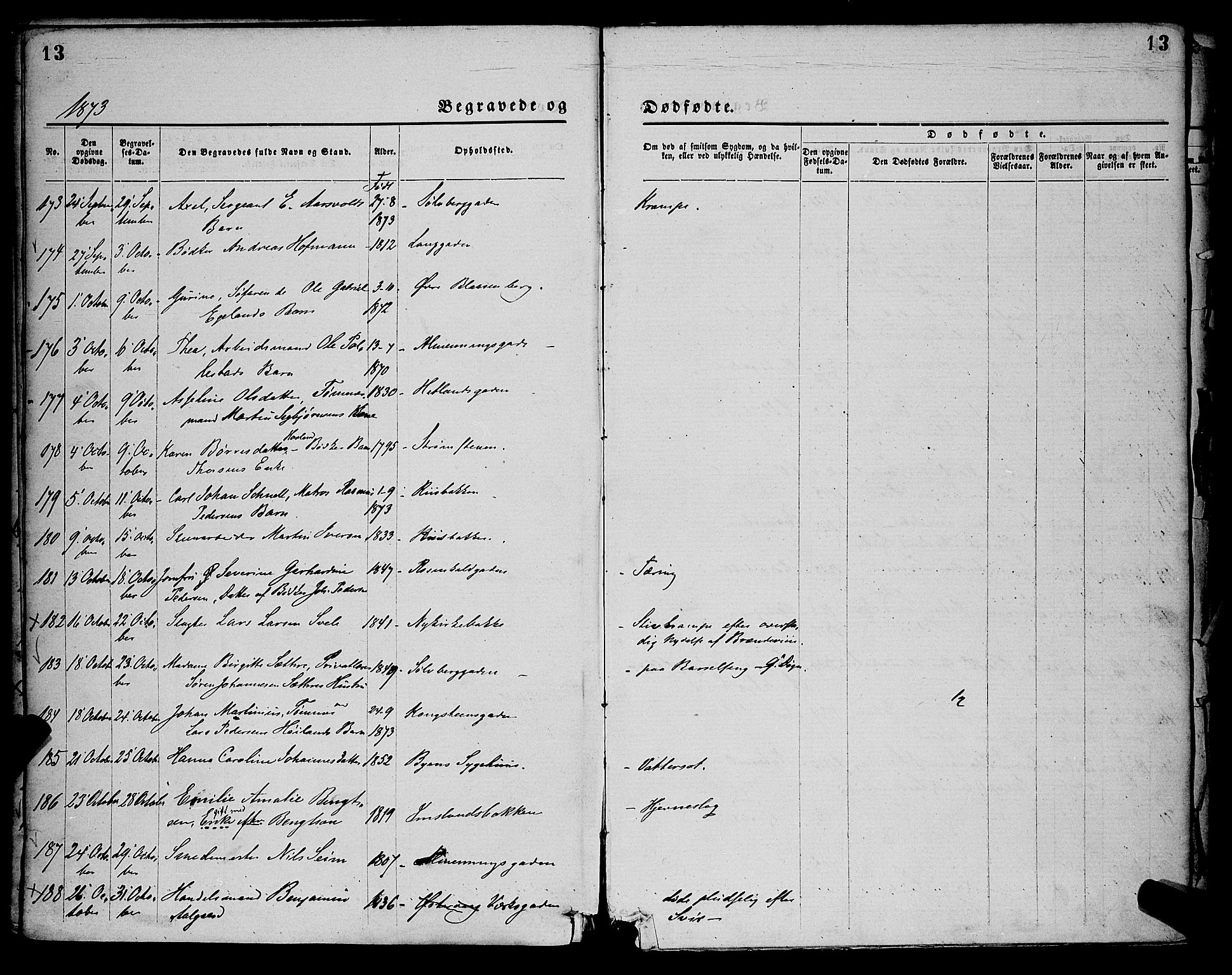 St. Petri sokneprestkontor, SAST/A-101813/001/30/30BA/L0012: Parish register (official) no. A 12, 1873-1878, p. 13