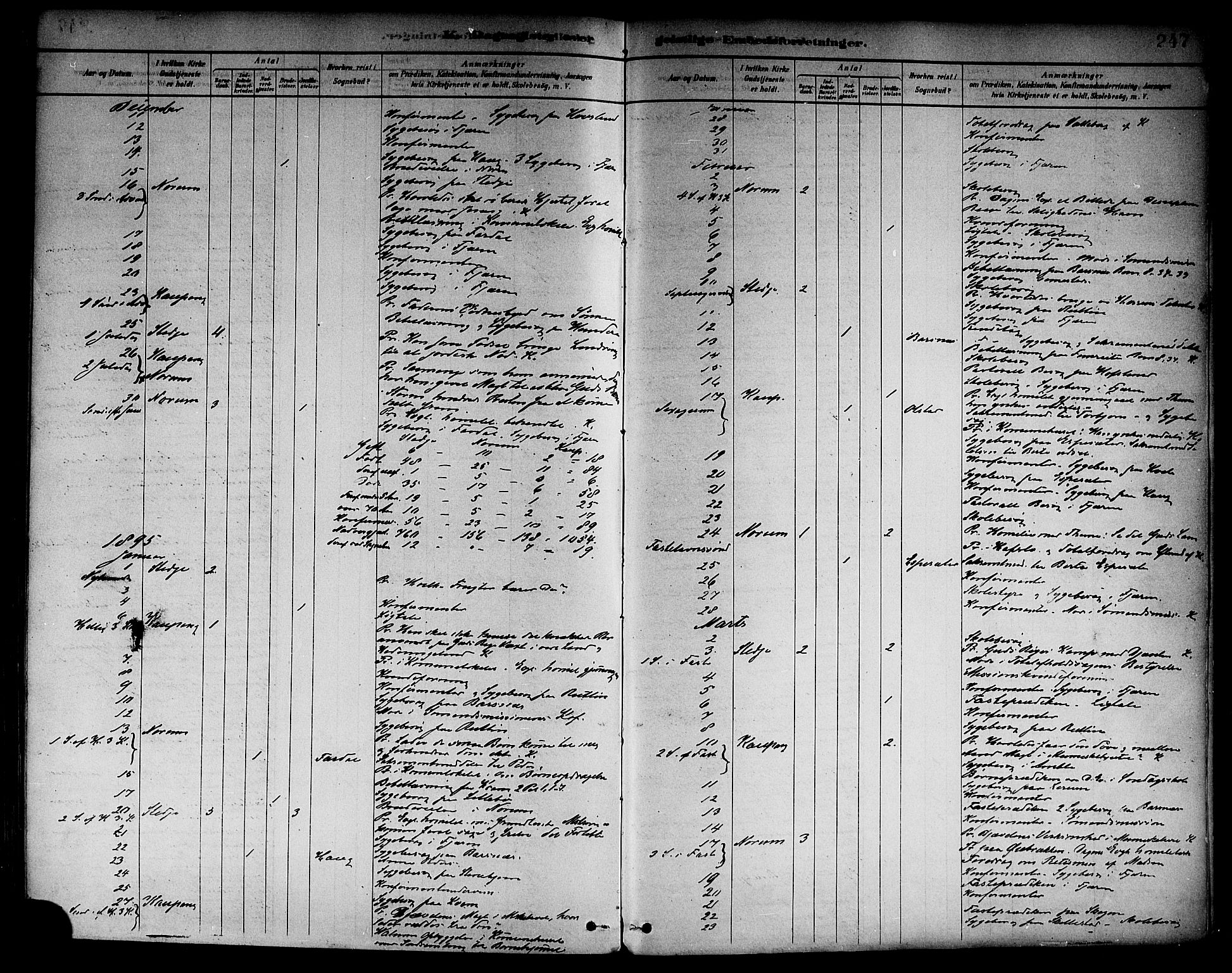 Sogndal sokneprestembete, AV/SAB-A-81301/H/Haa/Haab/L0001: Parish register (official) no. B 1, 1878-1899, p. 247