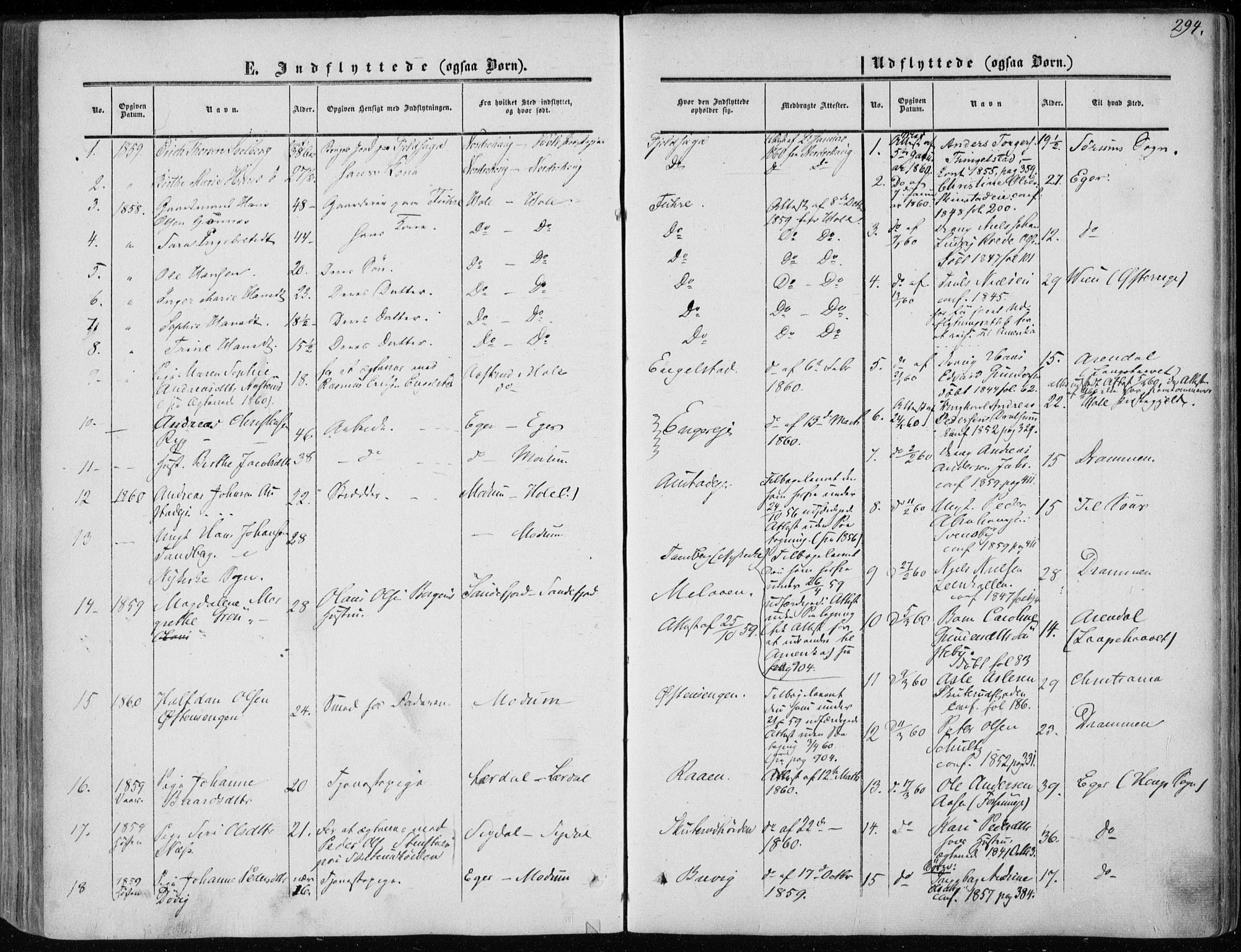 Modum kirkebøker, AV/SAKO-A-234/F/Fa/L0009: Parish register (official) no. 9, 1860-1864, p. 294