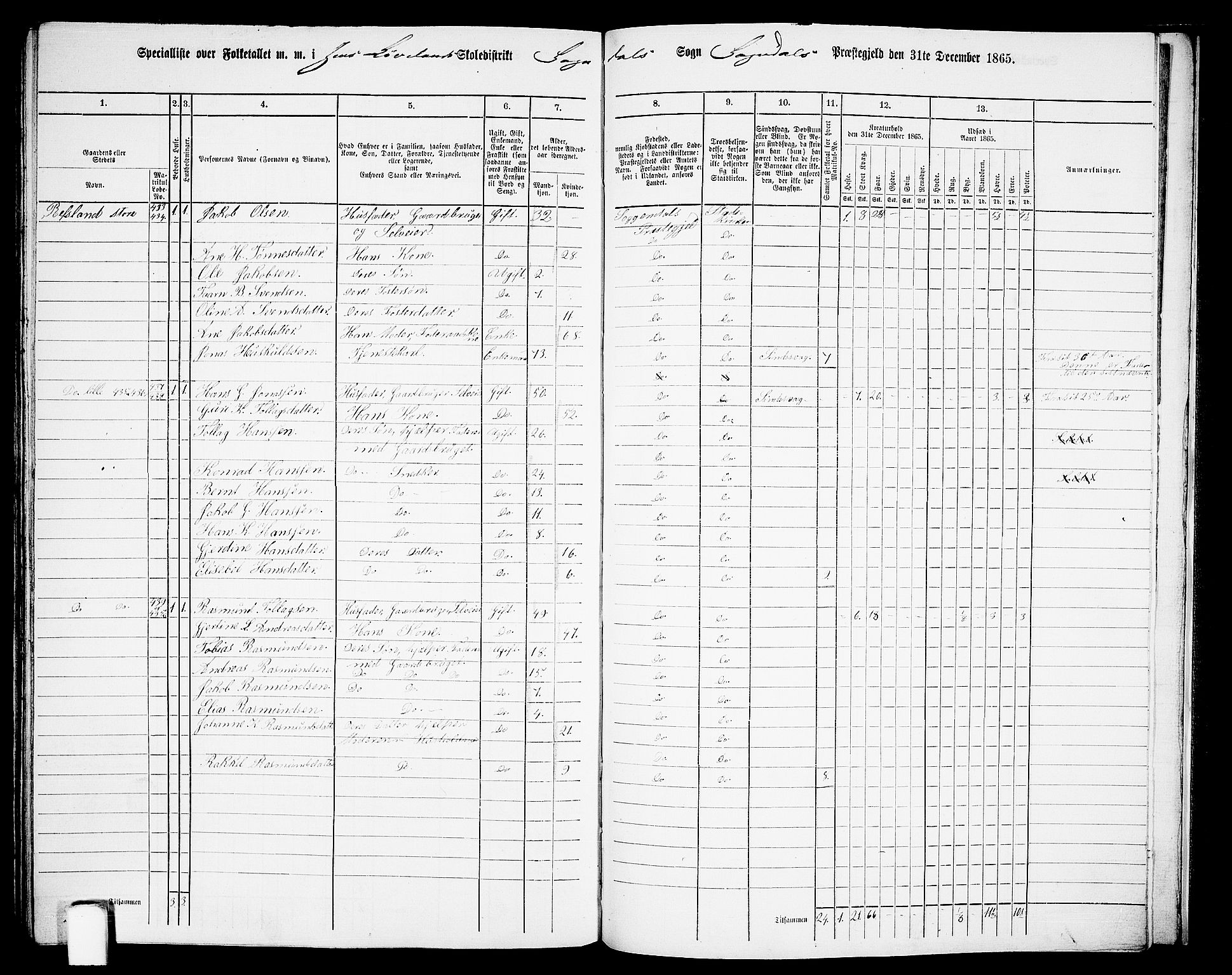 RA, 1865 census for Sokndal, 1865, p. 120