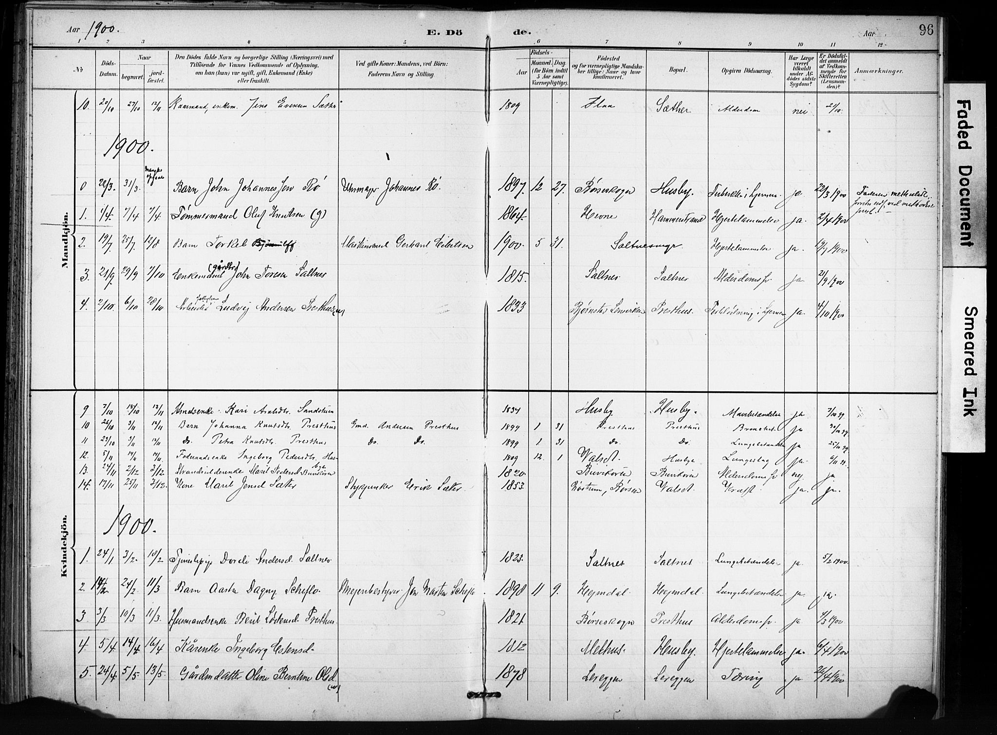 Ministerialprotokoller, klokkerbøker og fødselsregistre - Sør-Trøndelag, SAT/A-1456/666/L0787: Parish register (official) no. 666A05, 1895-1908, p. 96