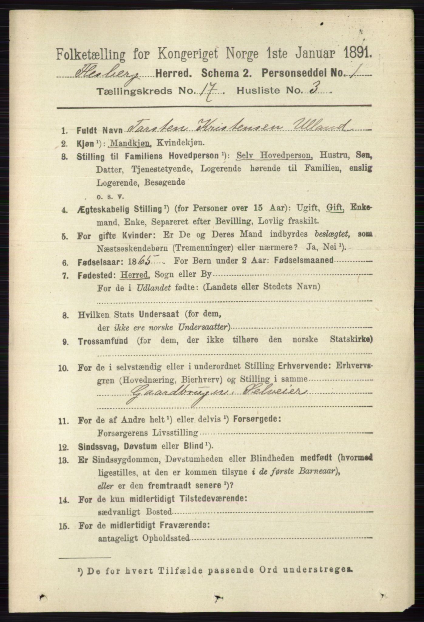 RA, 1891 census for 0631 Flesberg, 1891, p. 2996