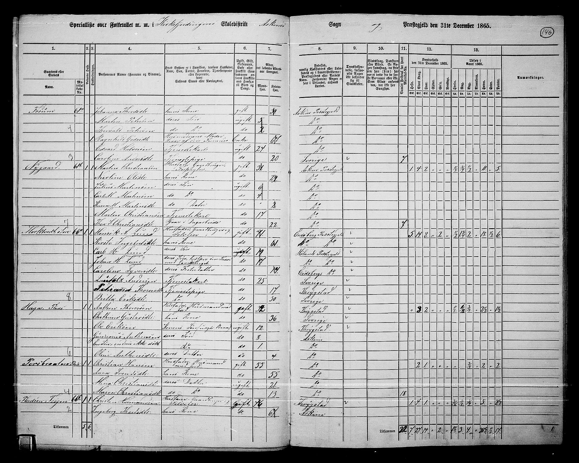 RA, 1865 census for Askim, 1865, p. 9