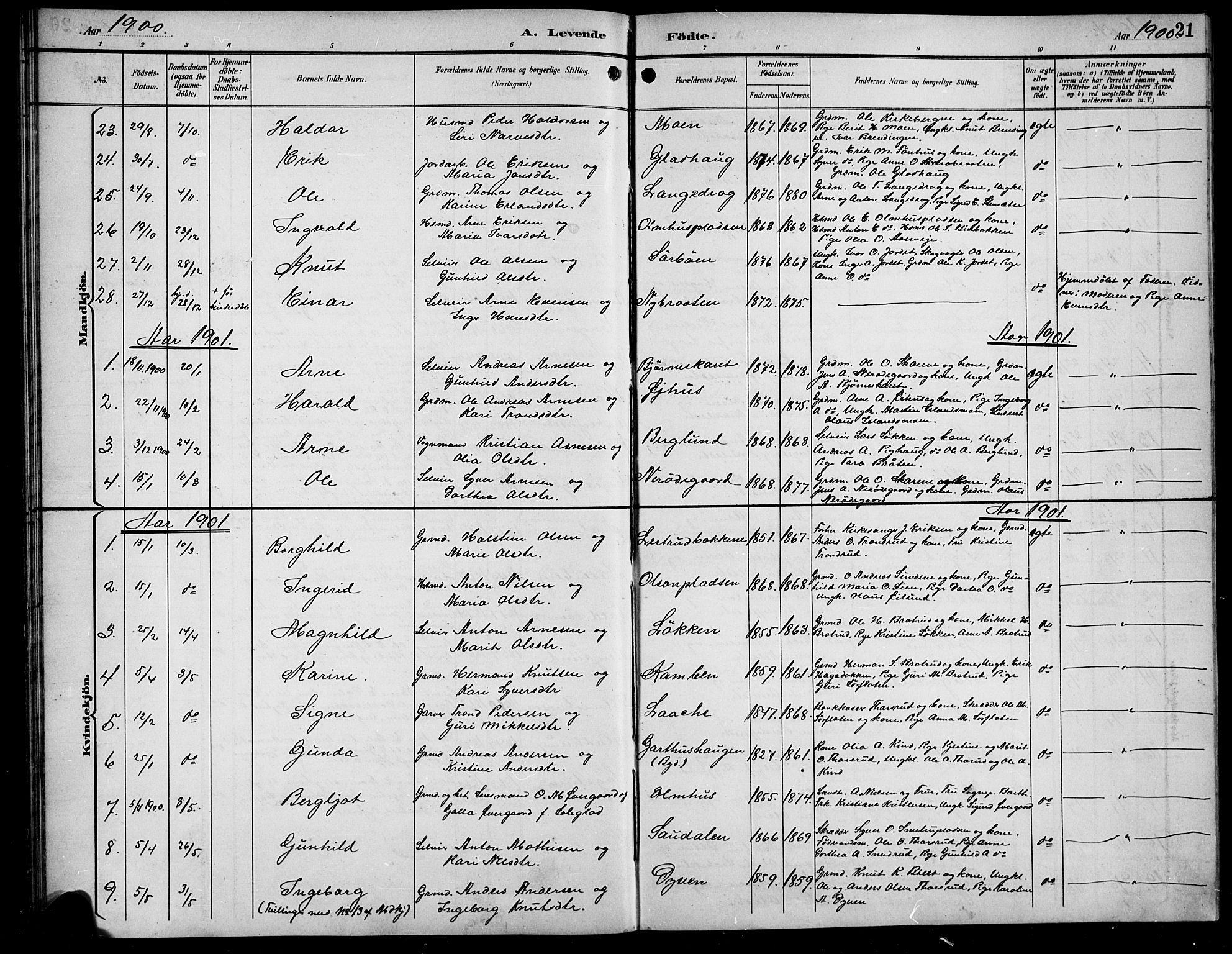 Sør-Aurdal prestekontor, SAH/PREST-128/H/Ha/Hab/L0009: Parish register (copy) no. 9, 1894-1924, p. 21