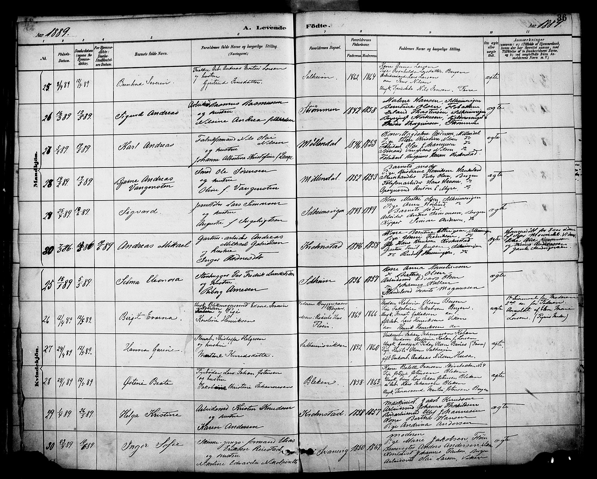 Årstad Sokneprestembete, AV/SAB-A-79301/H/Haa/L0001: Parish register (official) no. A 1, 1886-1901, p. 36