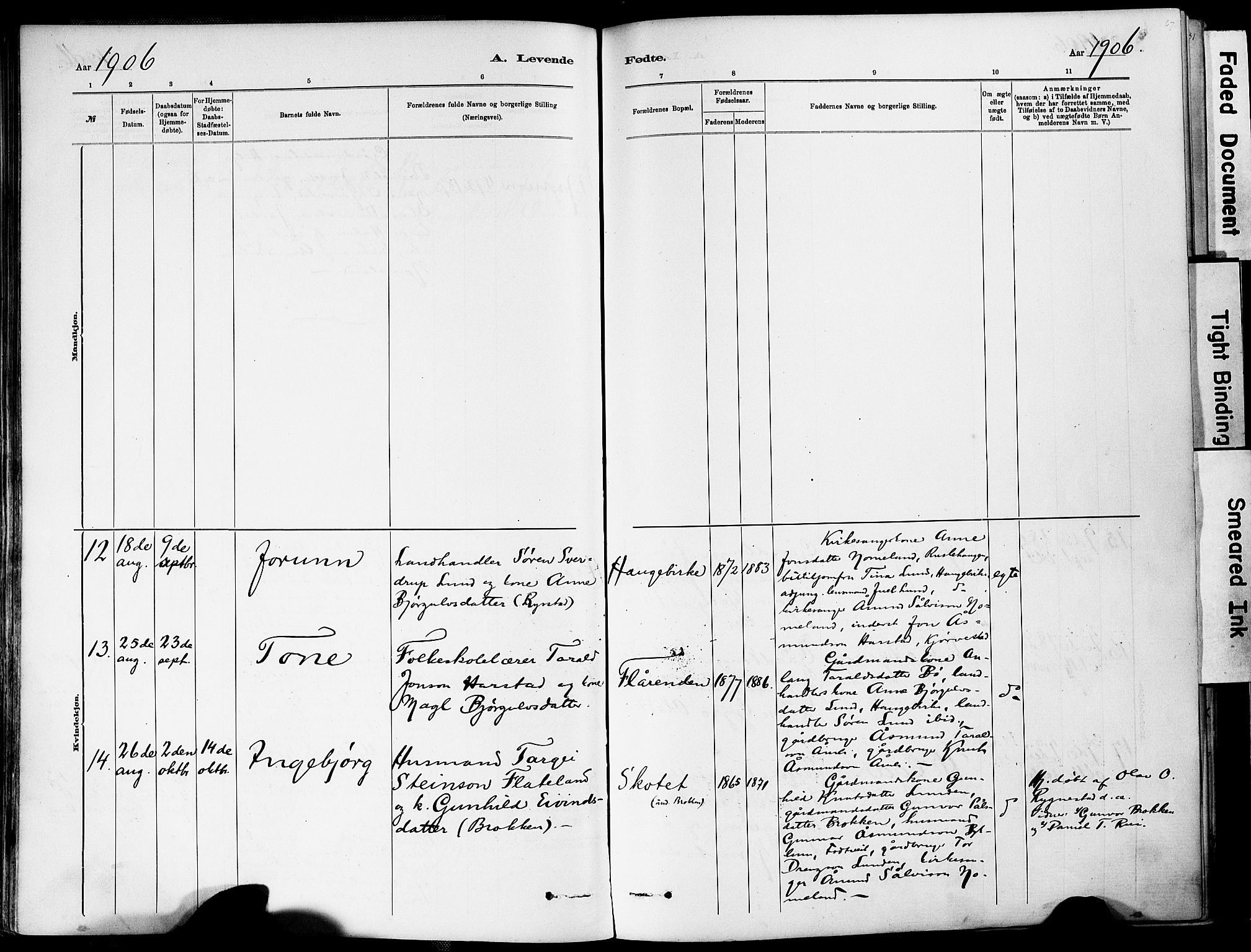 Valle sokneprestkontor, AV/SAK-1111-0044/F/Fa/Fac/L0009: Parish register (official) no. A 9, 1882-1913, p. 67