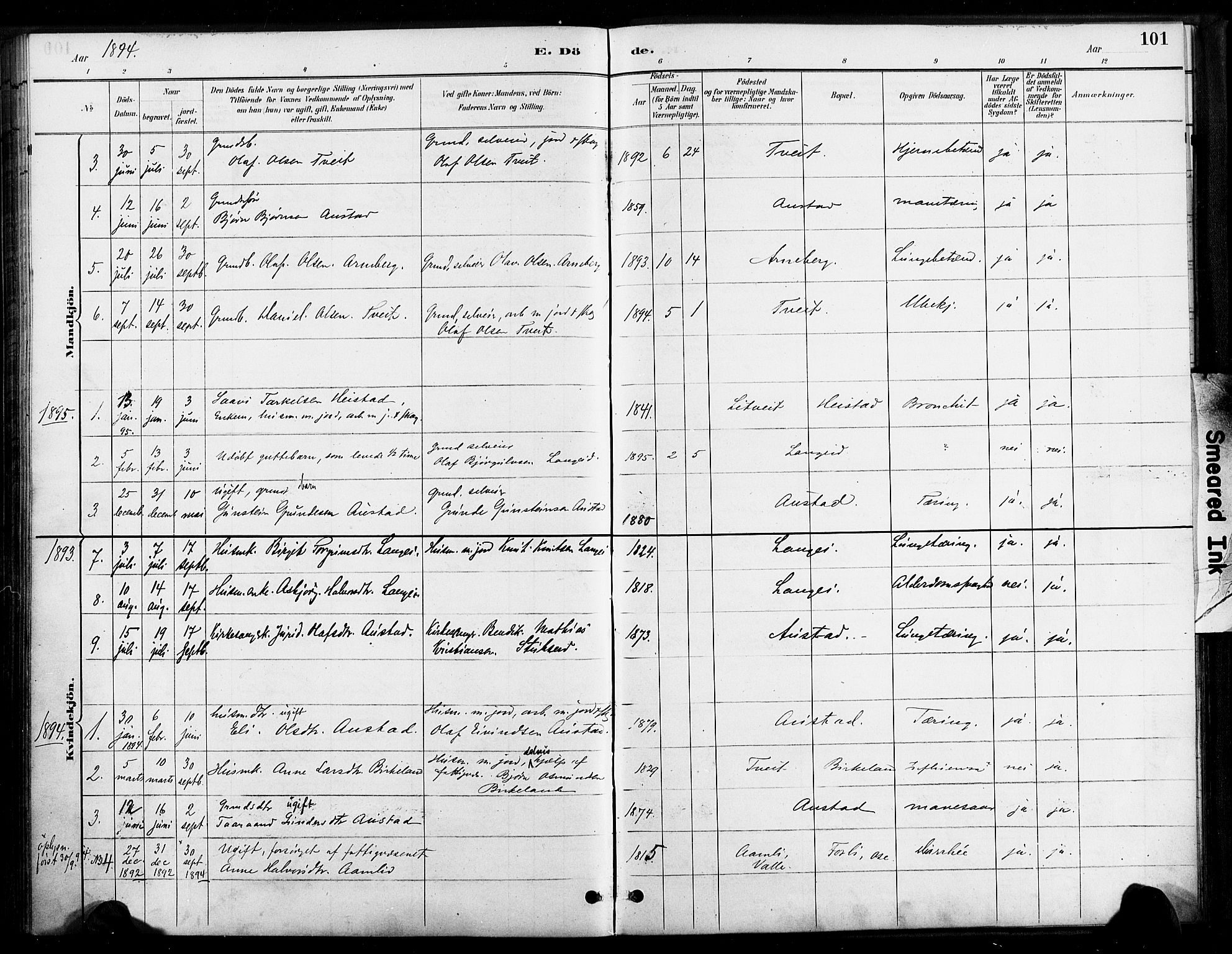 Bygland sokneprestkontor, SAK/1111-0006/F/Fa/Faa/L0001: Parish register (official) no. A 1, 1885-1908, p. 101