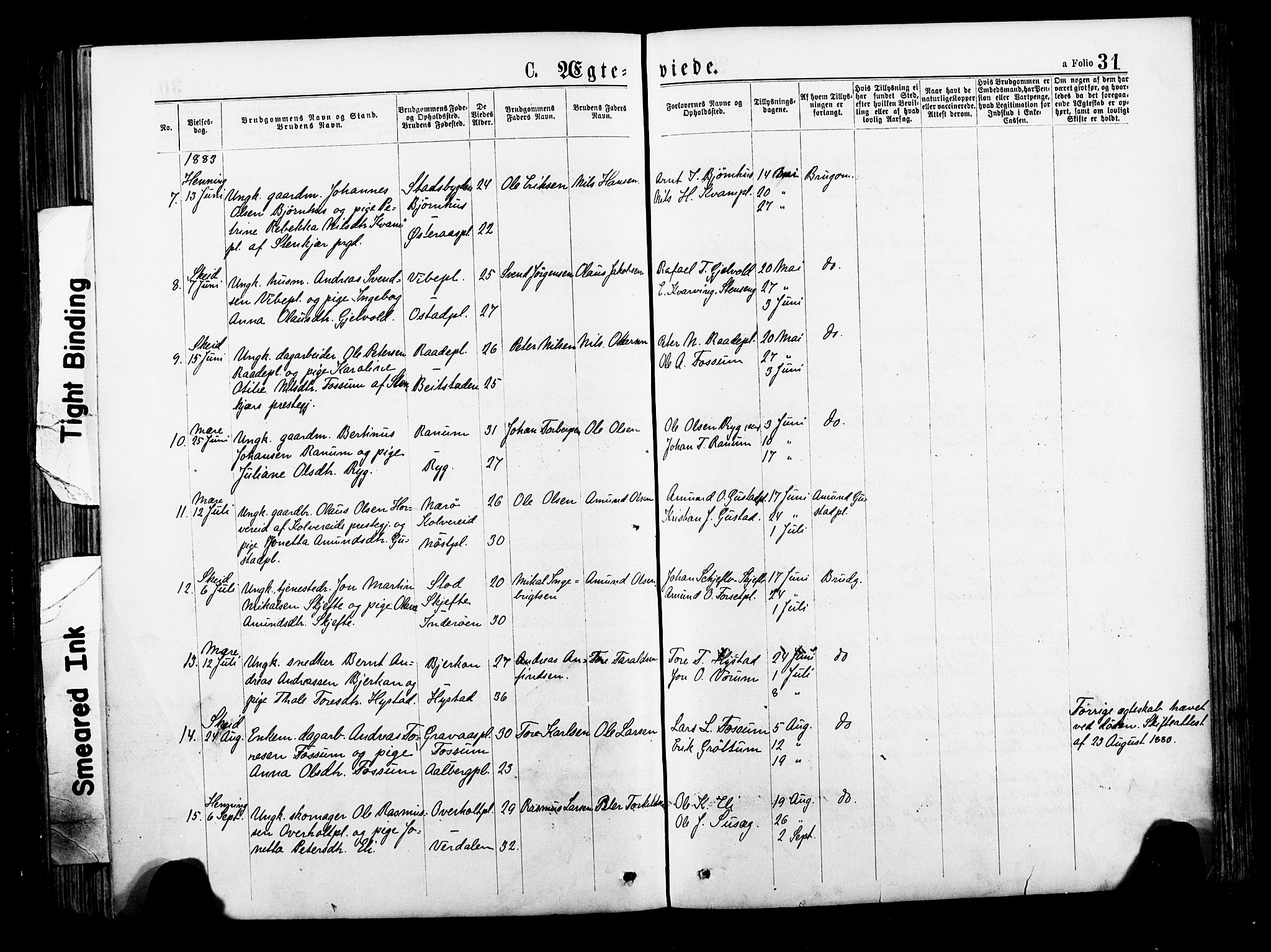Ministerialprotokoller, klokkerbøker og fødselsregistre - Nord-Trøndelag, AV/SAT-A-1458/735/L0348: Parish register (official) no. 735A09 /1, 1873-1883, p. 31