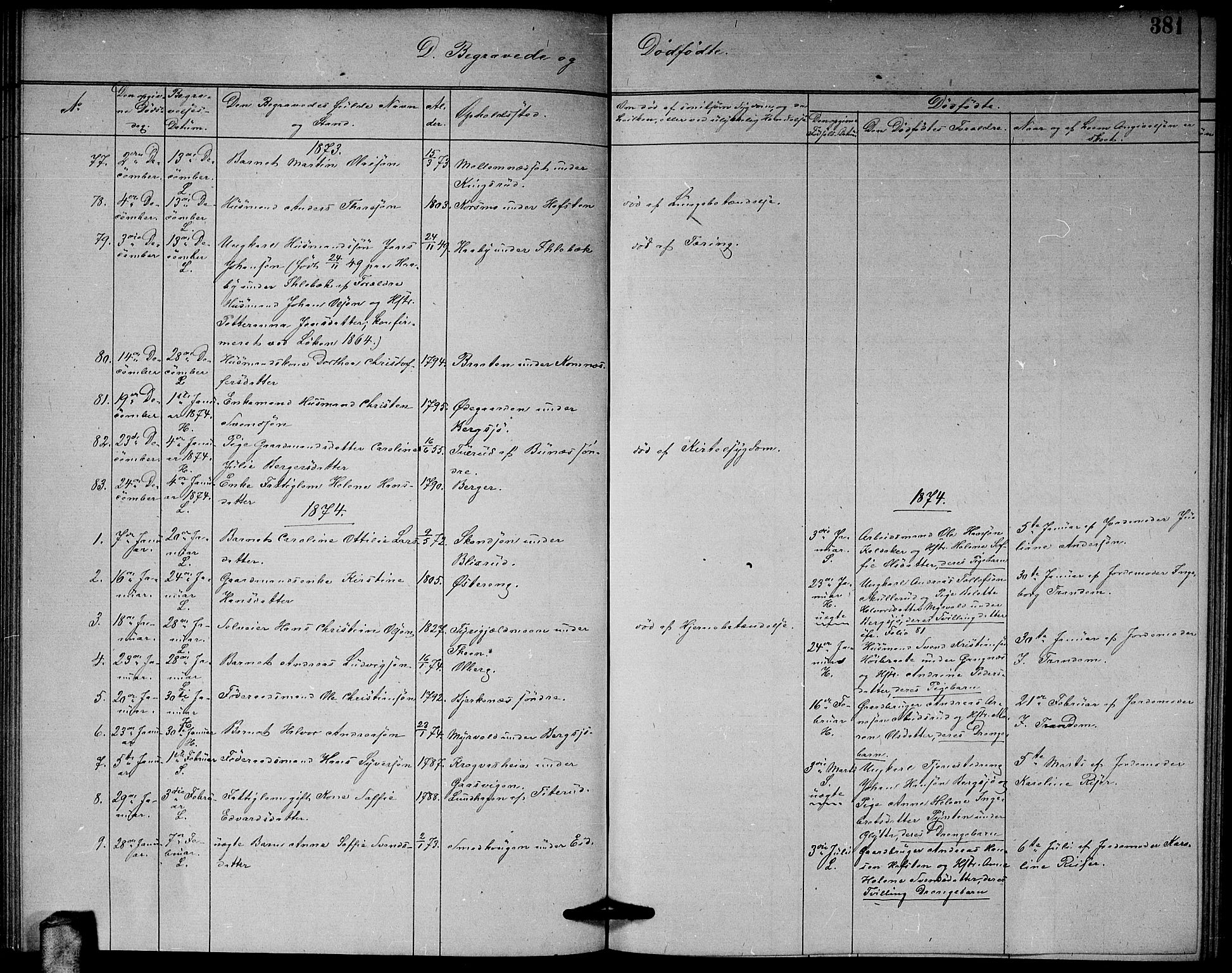 Høland prestekontor Kirkebøker, AV/SAO-A-10346a/G/Ga/L0006: Parish register (copy) no. I 6, 1869-1879, p. 381