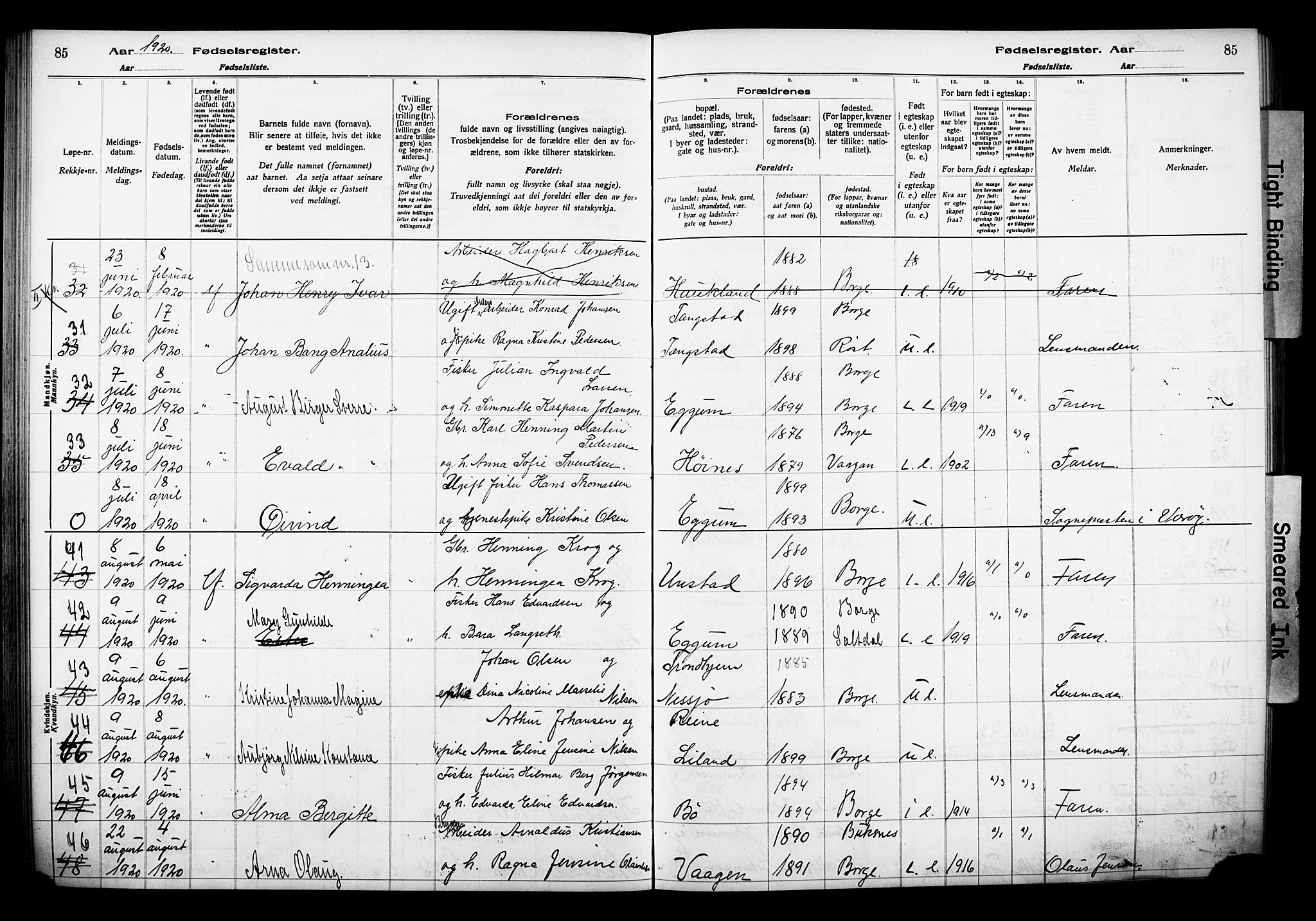 Ministerialprotokoller, klokkerbøker og fødselsregistre - Nordland, AV/SAT-A-1459/880/L1145: Birth register no. 880.II.4.1, 1916-1929, p. 85