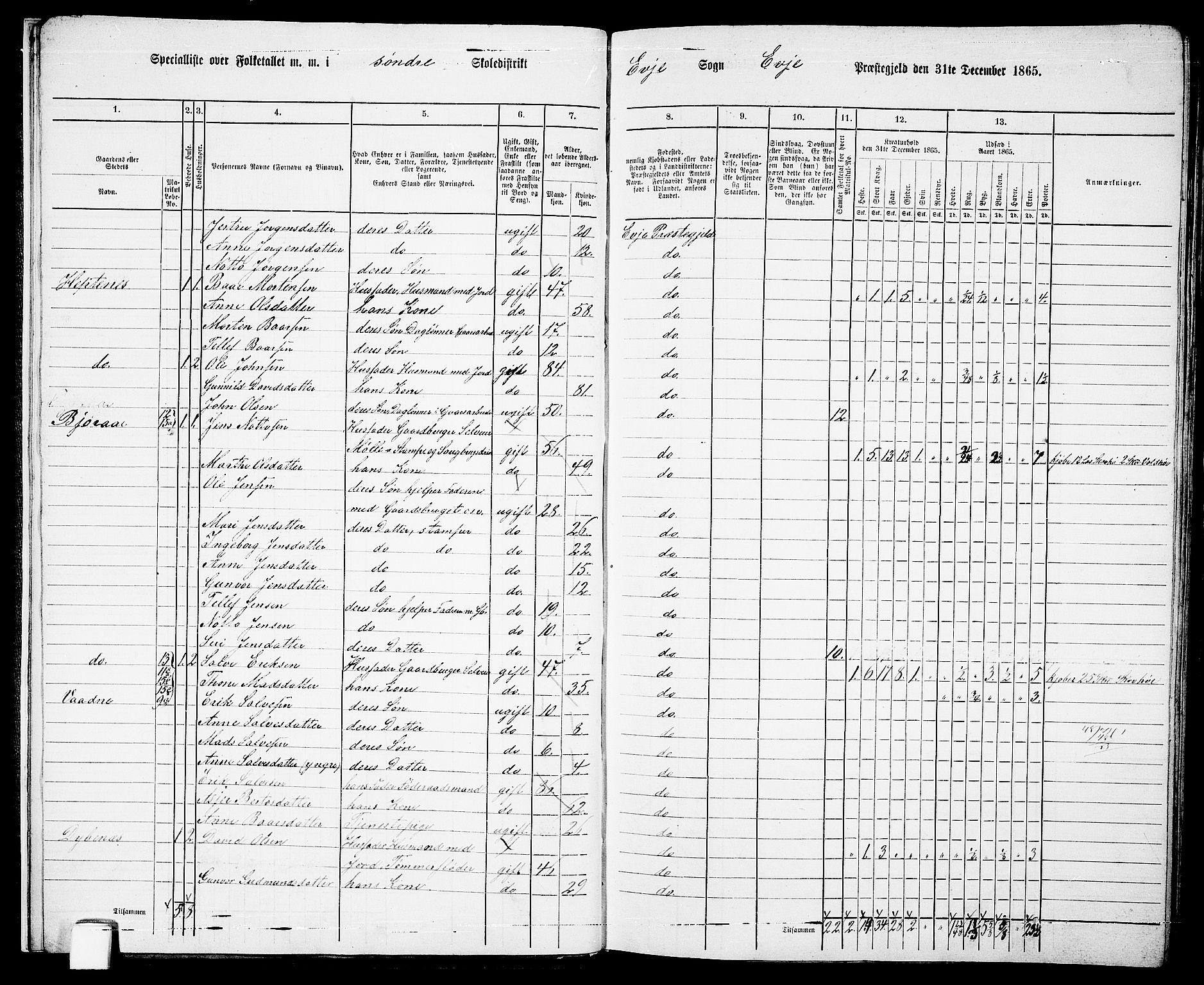 RA, 1865 census for Evje, 1865, p. 12