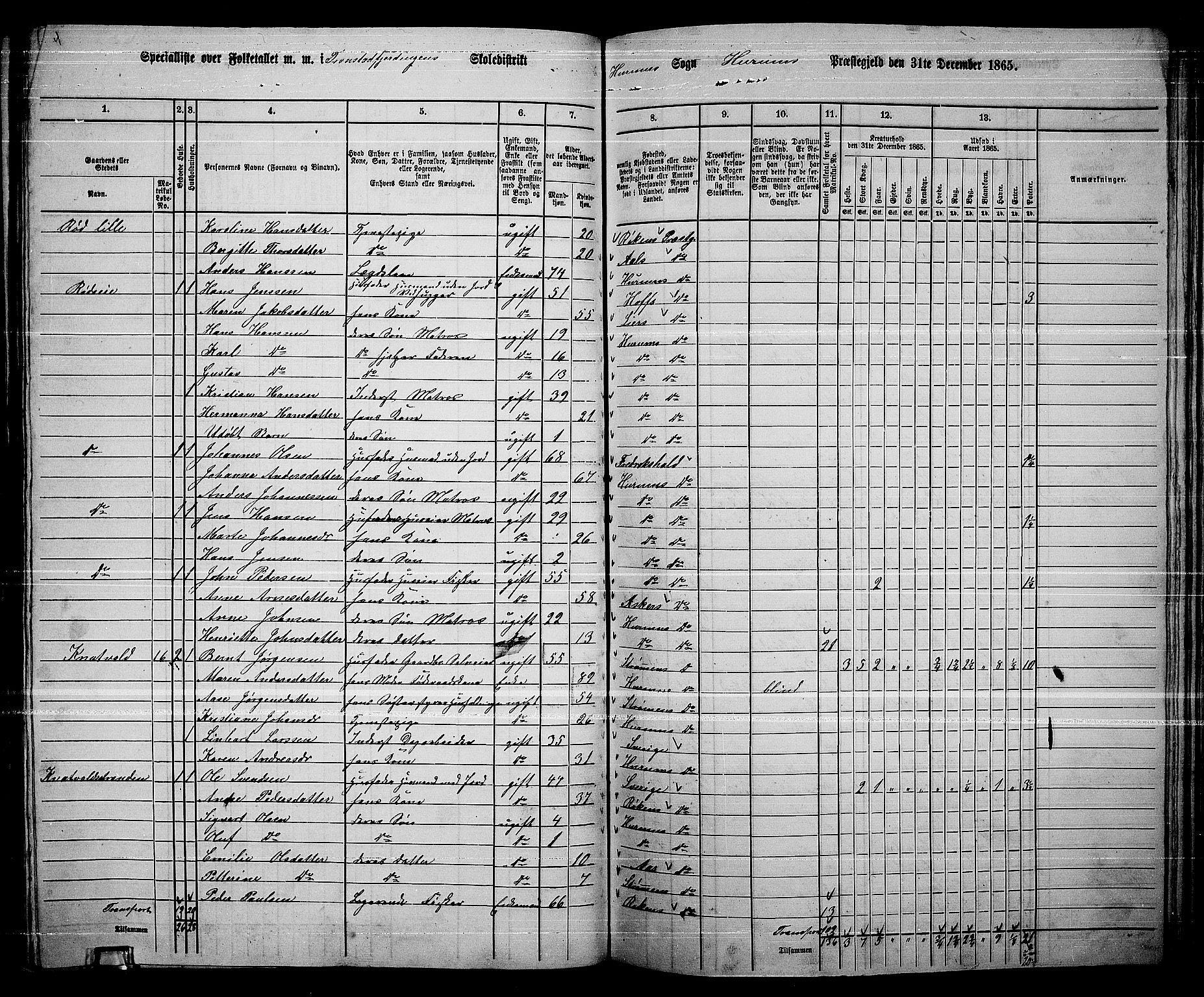 RA, 1865 census for Hurum, 1865, p. 45