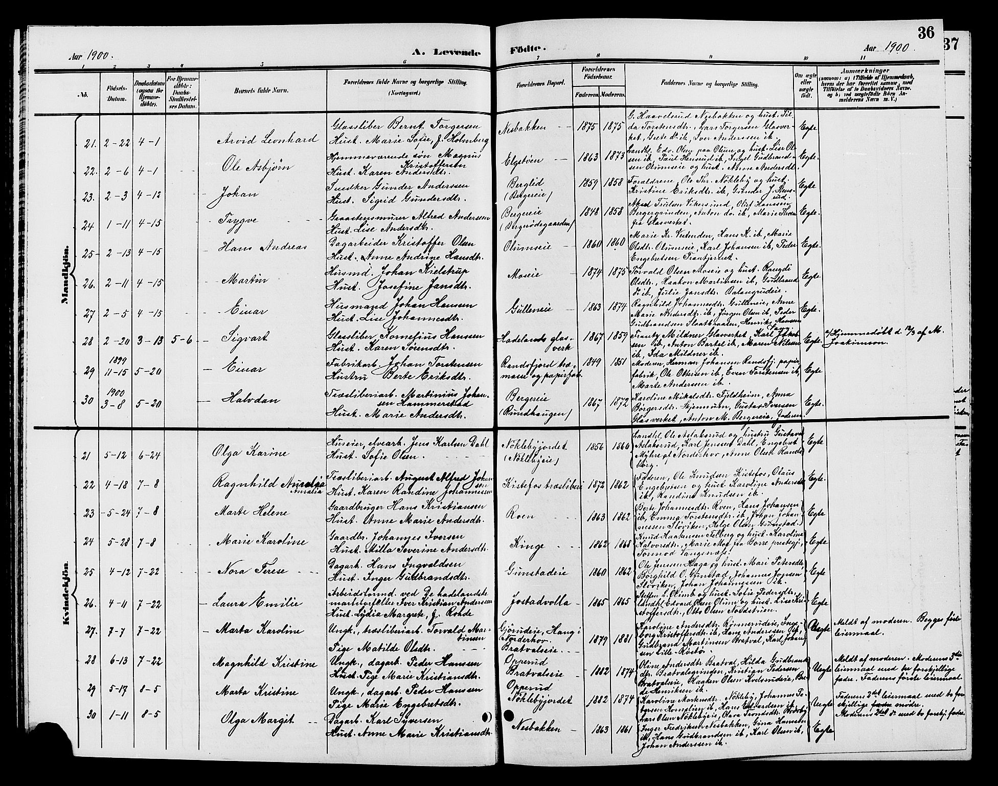 Jevnaker prestekontor, SAH/PREST-116/H/Ha/Hab/L0002: Parish register (copy) no. 2, 1896-1906, p. 36