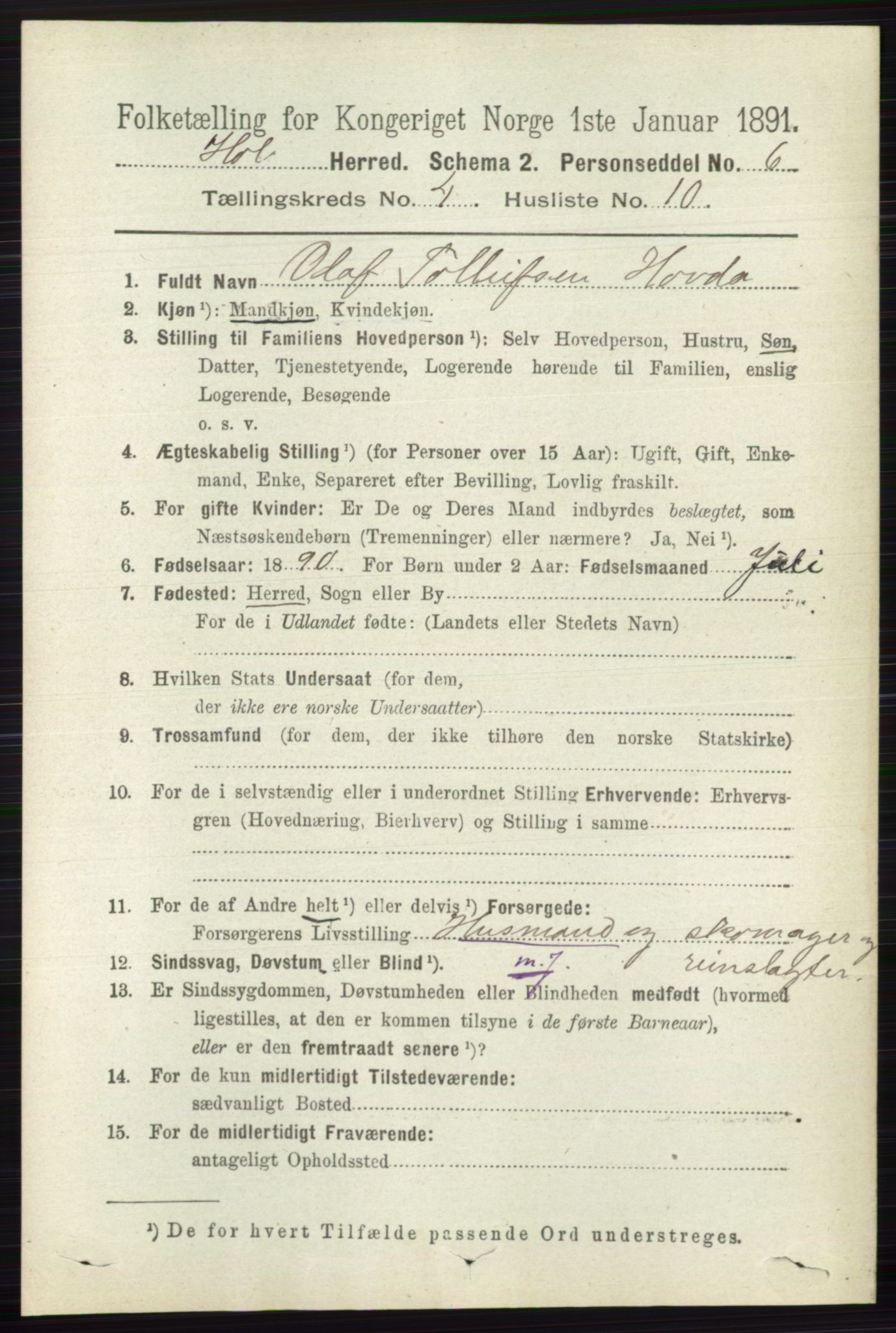 RA, 1891 census for 0620 Hol, 1891, p. 1315