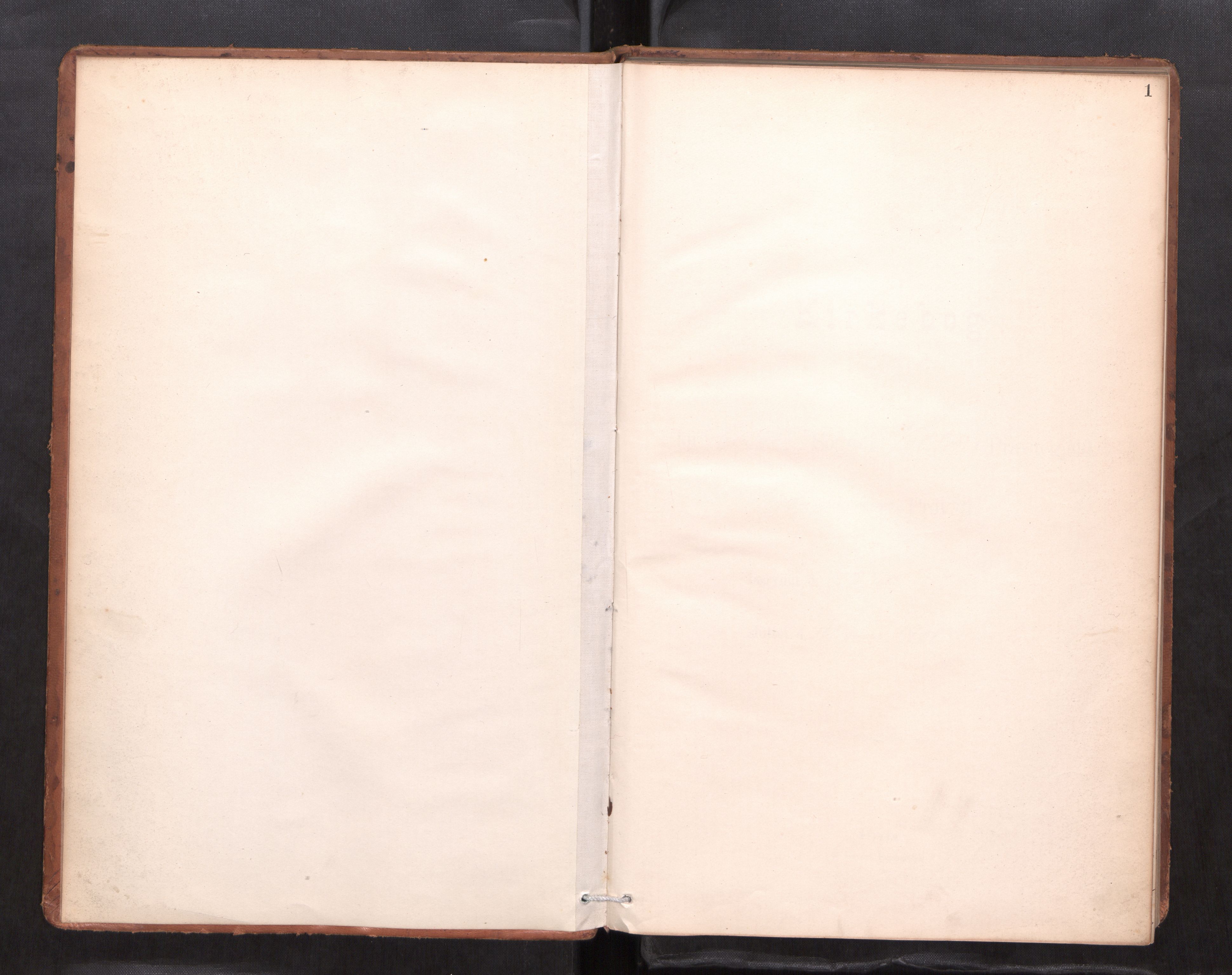 Ministerialprotokoller, klokkerbøker og fødselsregistre - Møre og Romsdal, AV/SAT-A-1454/511/L0145: Diary records no. 511---, 1887-1901, p. 1