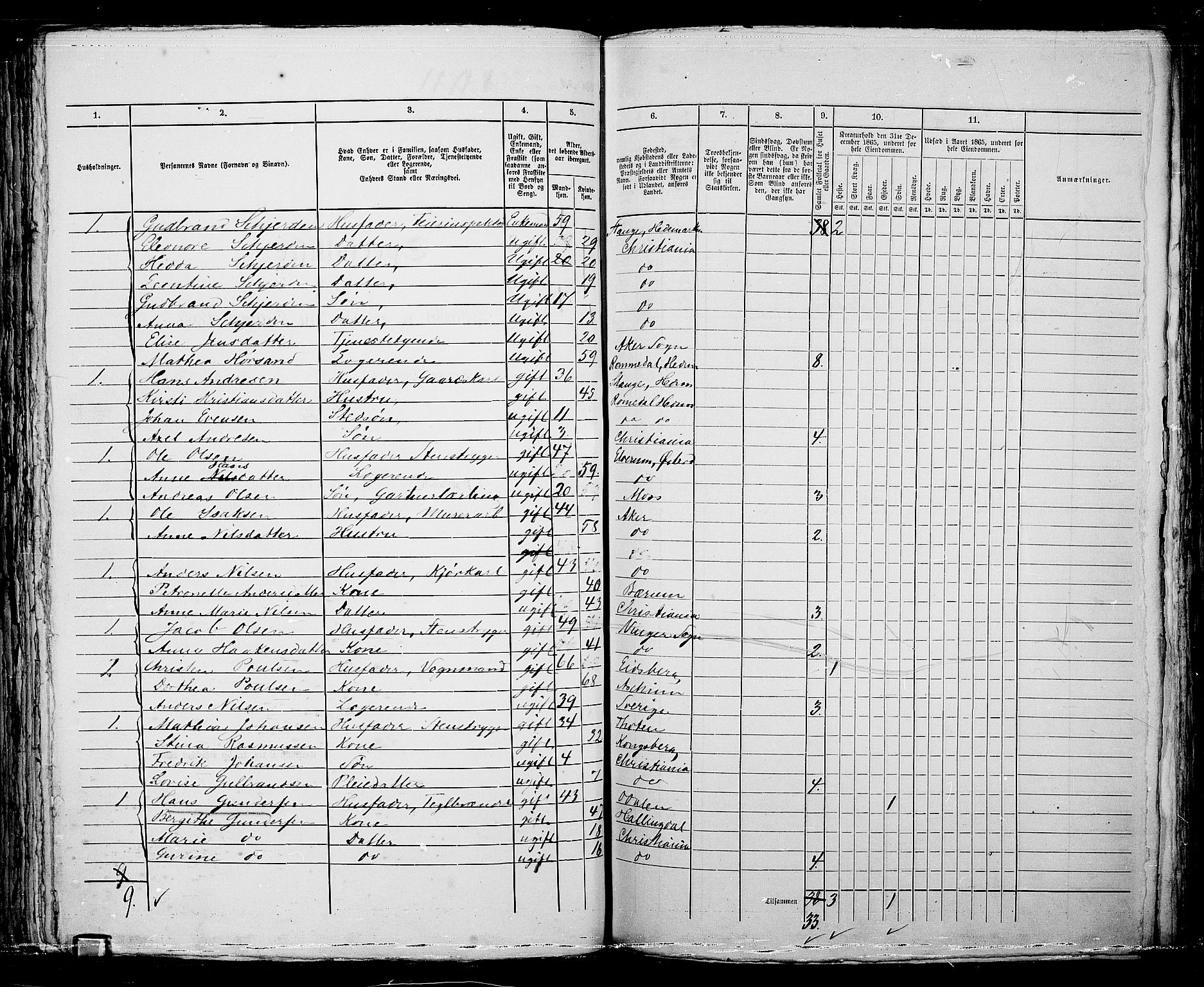 RA, 1865 census for Kristiania, 1865, p. 5206