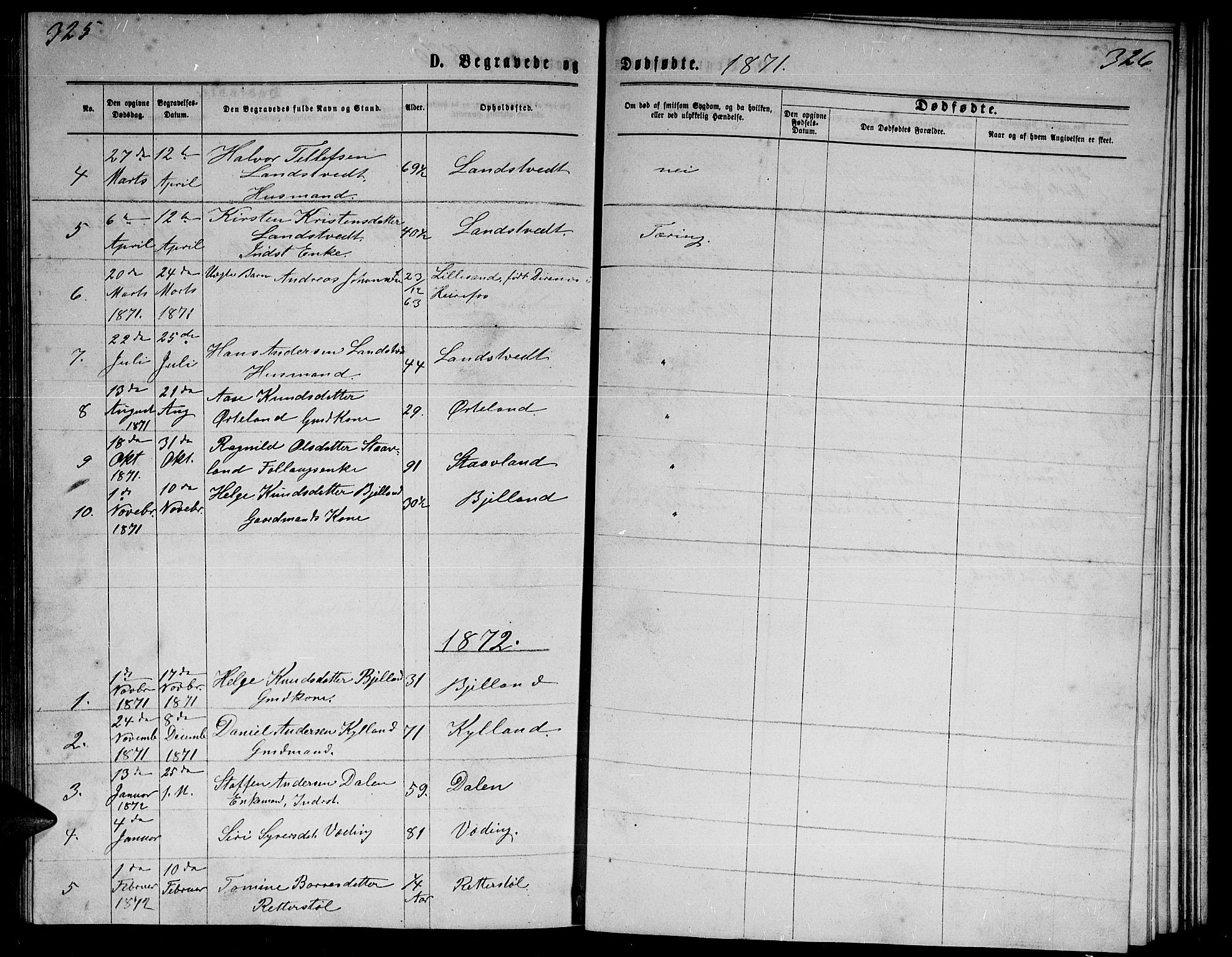 Herefoss sokneprestkontor, SAK/1111-0019/F/Fb/Fba/L0002: Parish register (copy) no. B 2, 1868-1886, p. 325-326