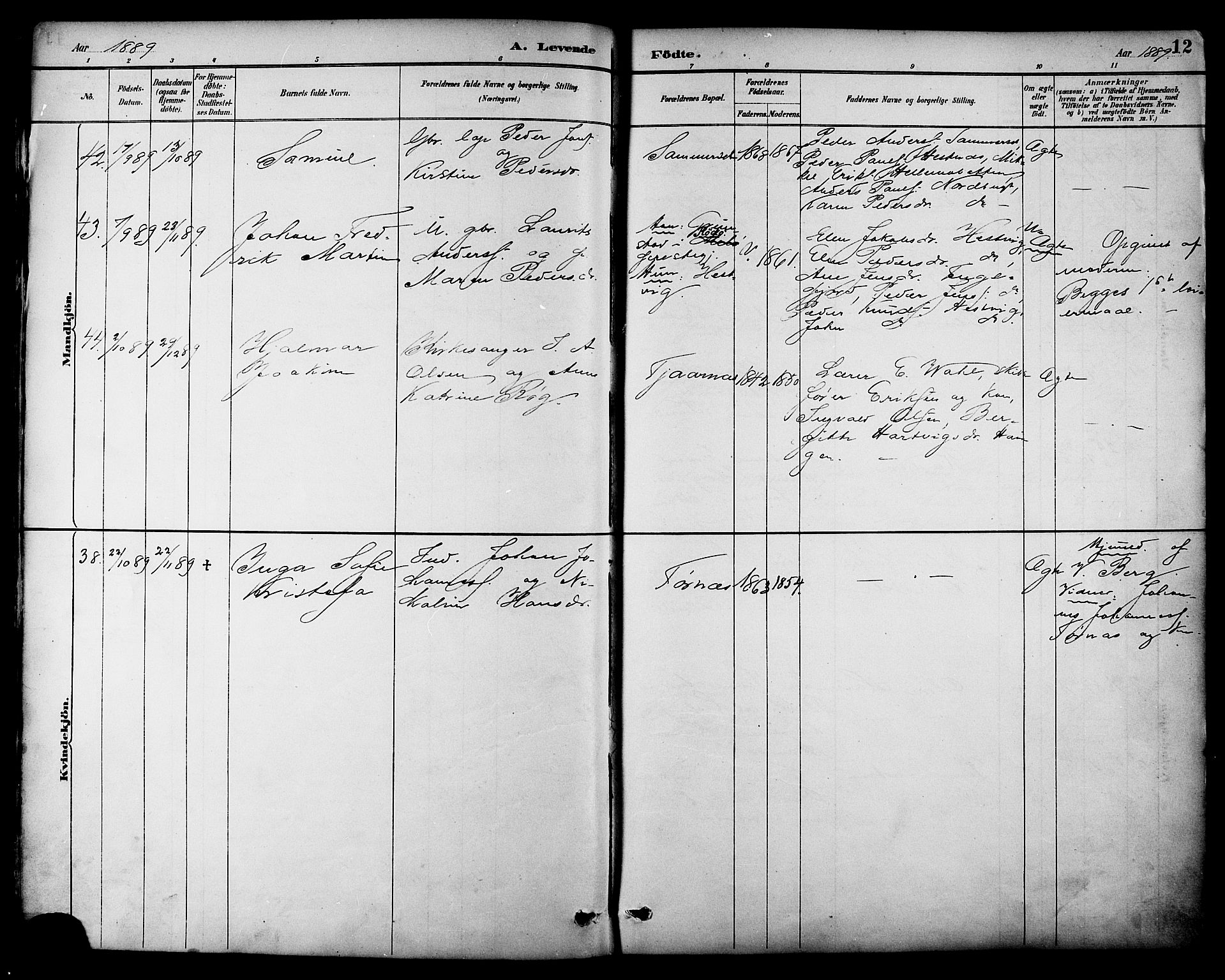 Ministerialprotokoller, klokkerbøker og fødselsregistre - Nordland, AV/SAT-A-1459/861/L0869: Parish register (official) no. 861A04, 1889-1903, p. 12