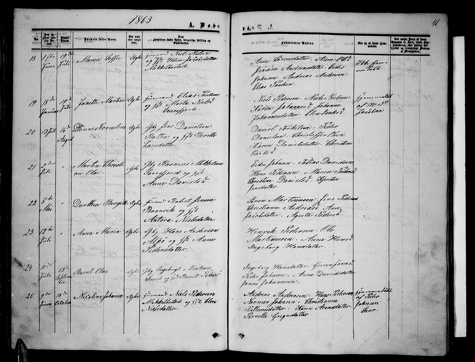 Ministerialprotokoller, klokkerbøker og fødselsregistre - Nordland, SAT/A-1459/857/L0827: Parish register (copy) no. 857C02, 1852-1879, p. 41