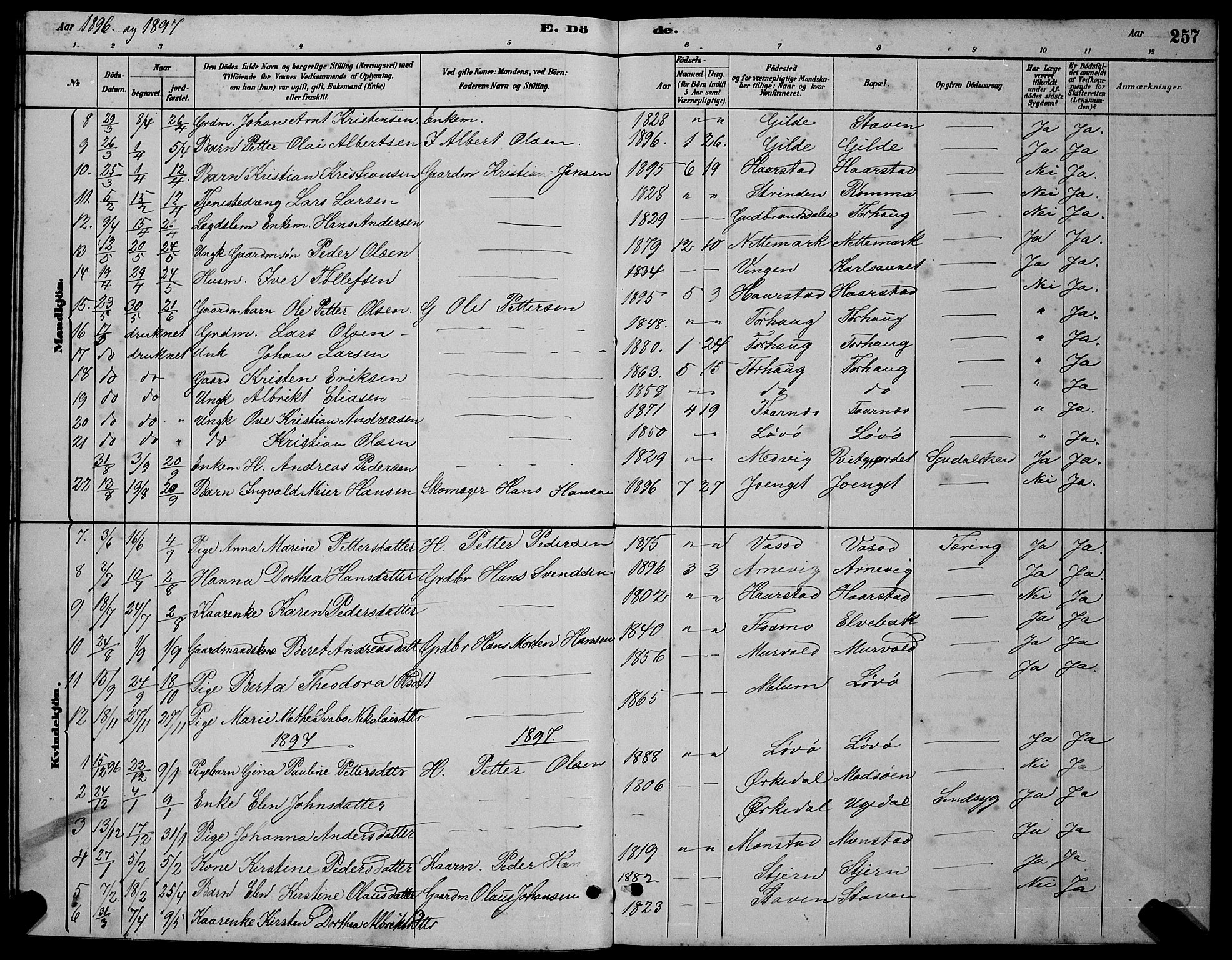 Ministerialprotokoller, klokkerbøker og fødselsregistre - Sør-Trøndelag, SAT/A-1456/655/L0687: Parish register (copy) no. 655C03, 1880-1898, p. 257a