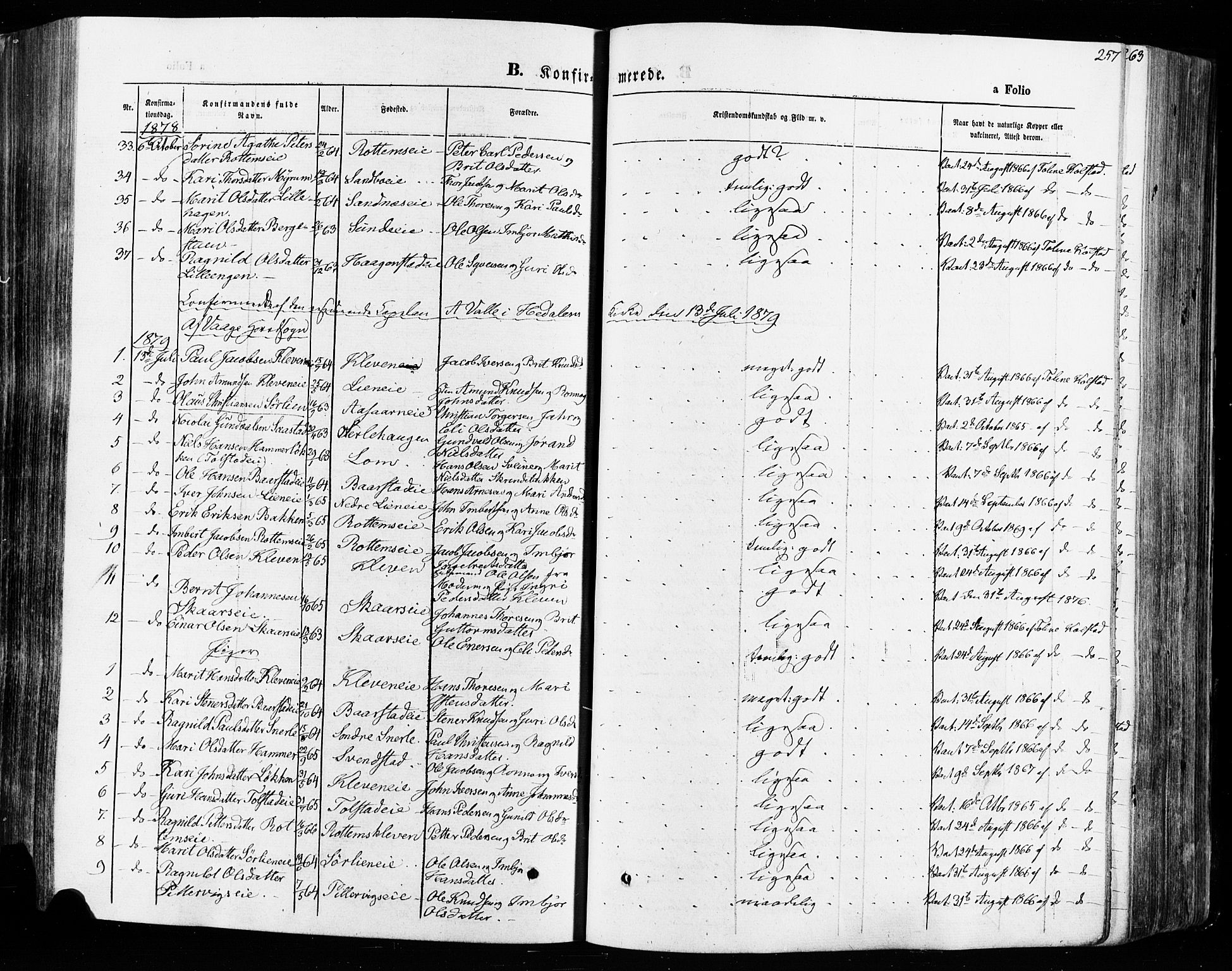 Vågå prestekontor, AV/SAH-PREST-076/H/Ha/Haa/L0007: Parish register (official) no. 7 /1, 1872-1886, p. 257