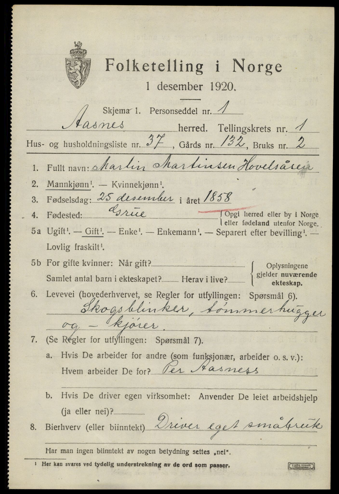 SAH, 1920 census for Åsnes, 1920, p. 2518