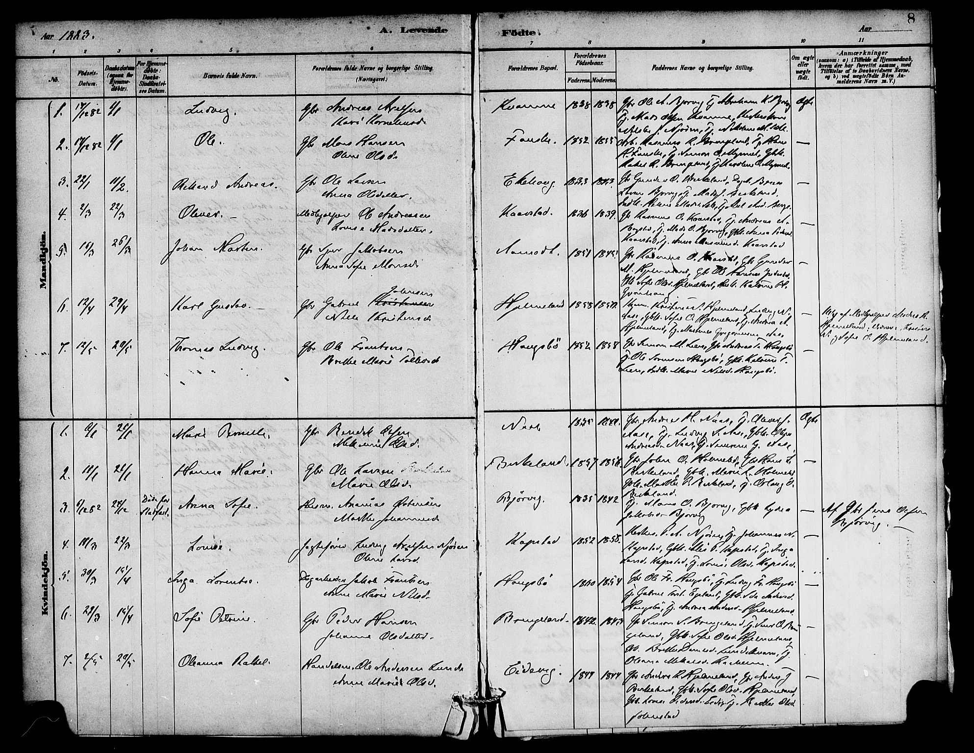 Gaular sokneprestembete, AV/SAB-A-80001/H/Haa: Parish register (official) no. C 1, 1882-1897, p. 8