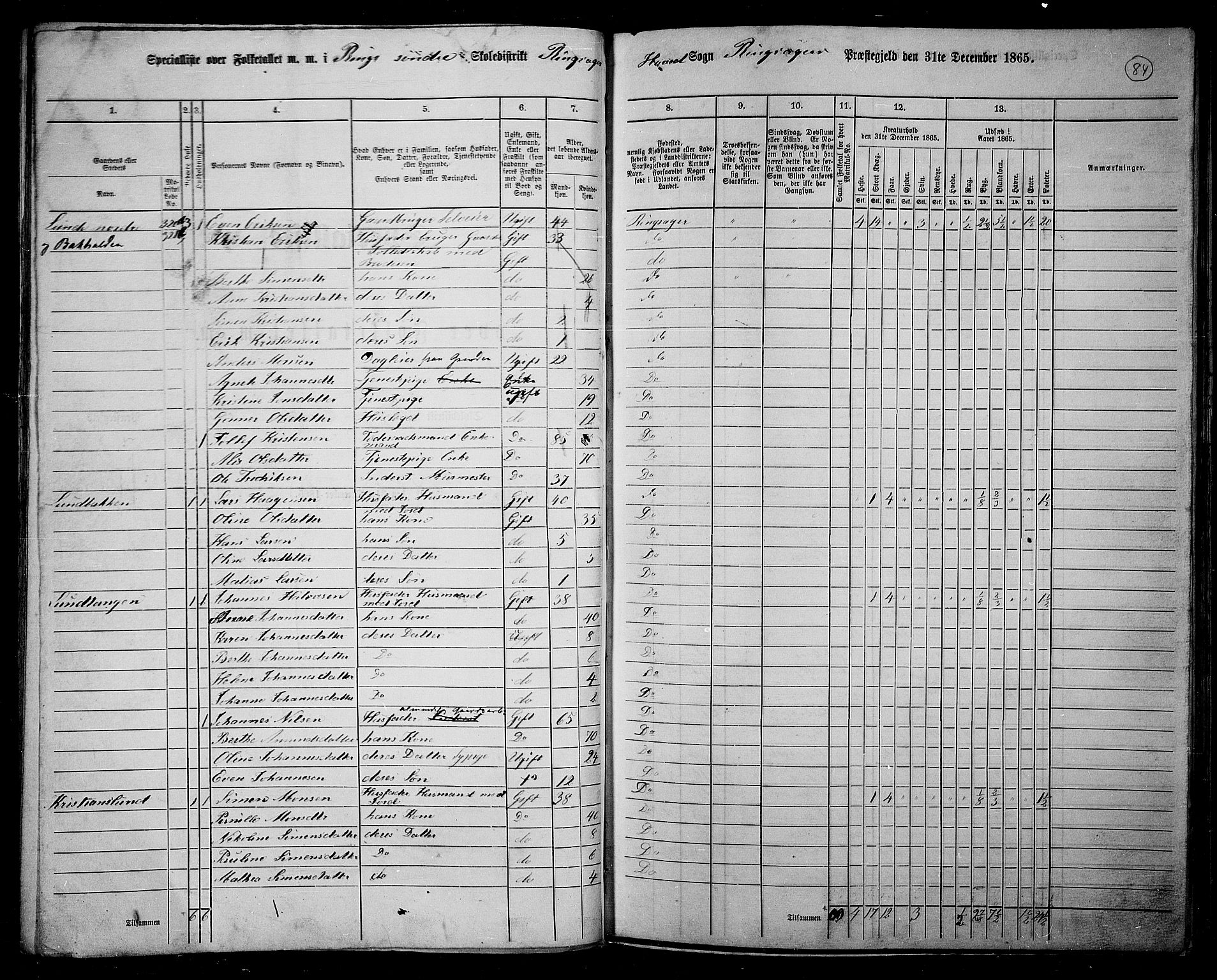 RA, 1865 census for Ringsaker, 1865, p. 333