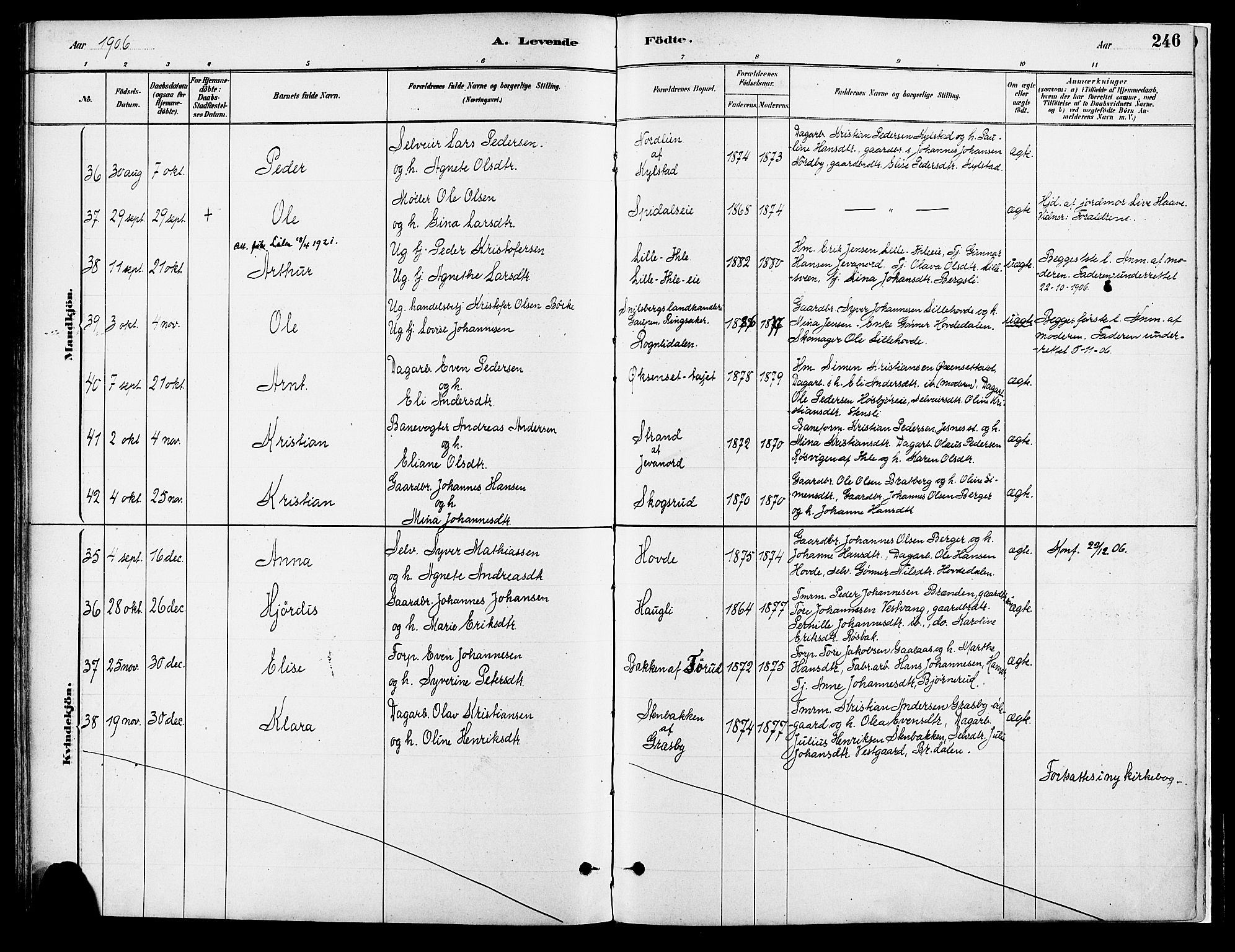 Vang prestekontor, Hedmark, AV/SAH-PREST-008/H/Ha/Haa/L0018A: Parish register (official) no. 18A, 1880-1906, p. 246