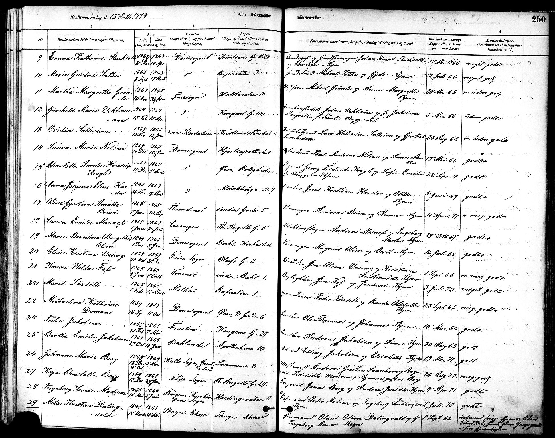 Ministerialprotokoller, klokkerbøker og fødselsregistre - Sør-Trøndelag, SAT/A-1456/601/L0057: Parish register (official) no. 601A25, 1877-1891, p. 250